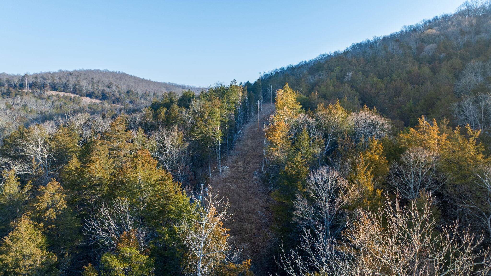 main property photo 89