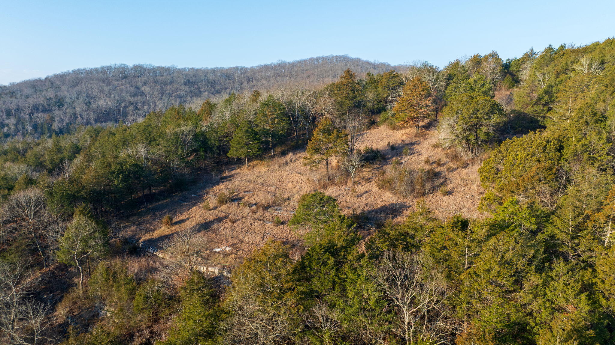 main property photo 96