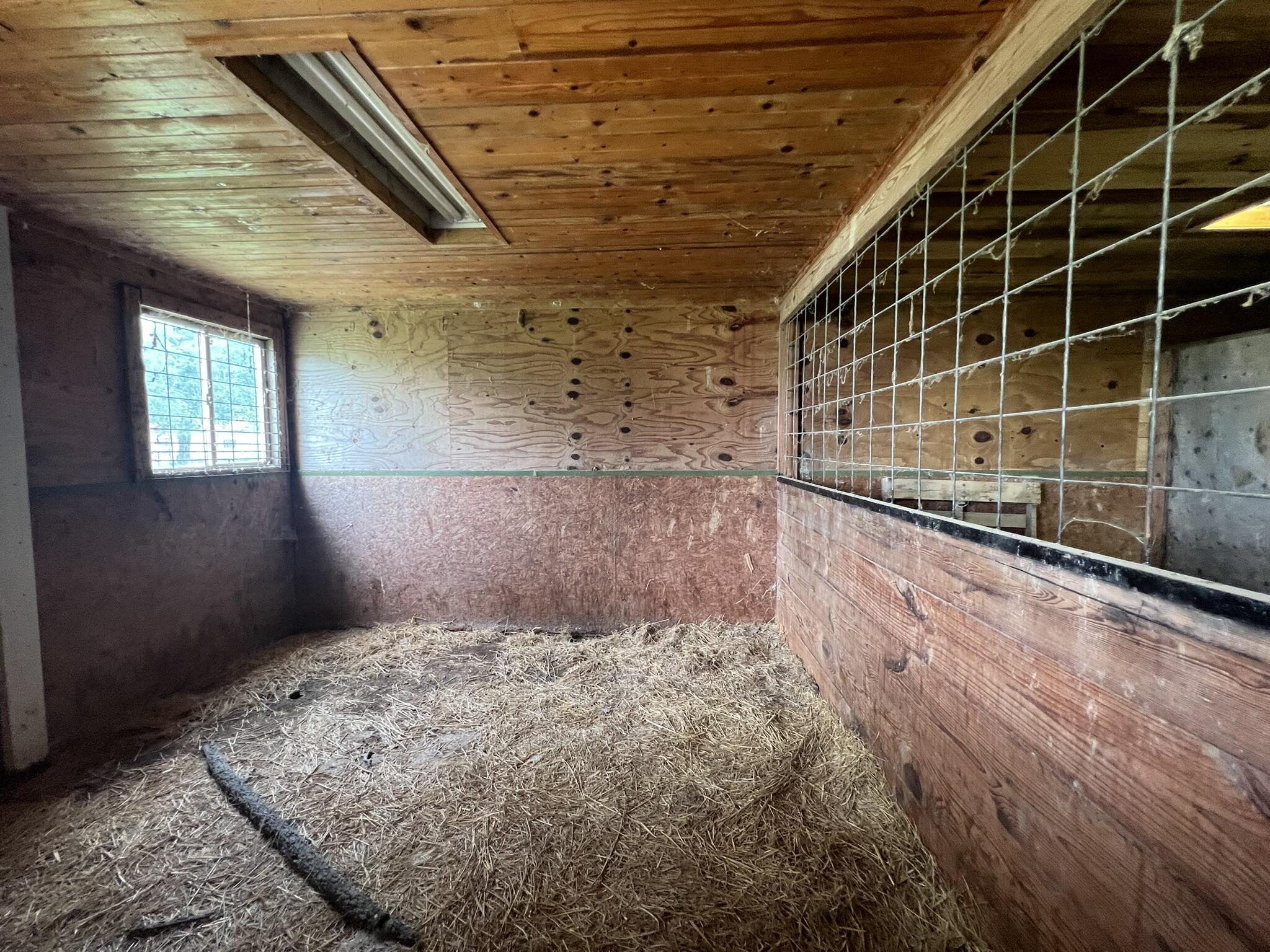 main property photo 67