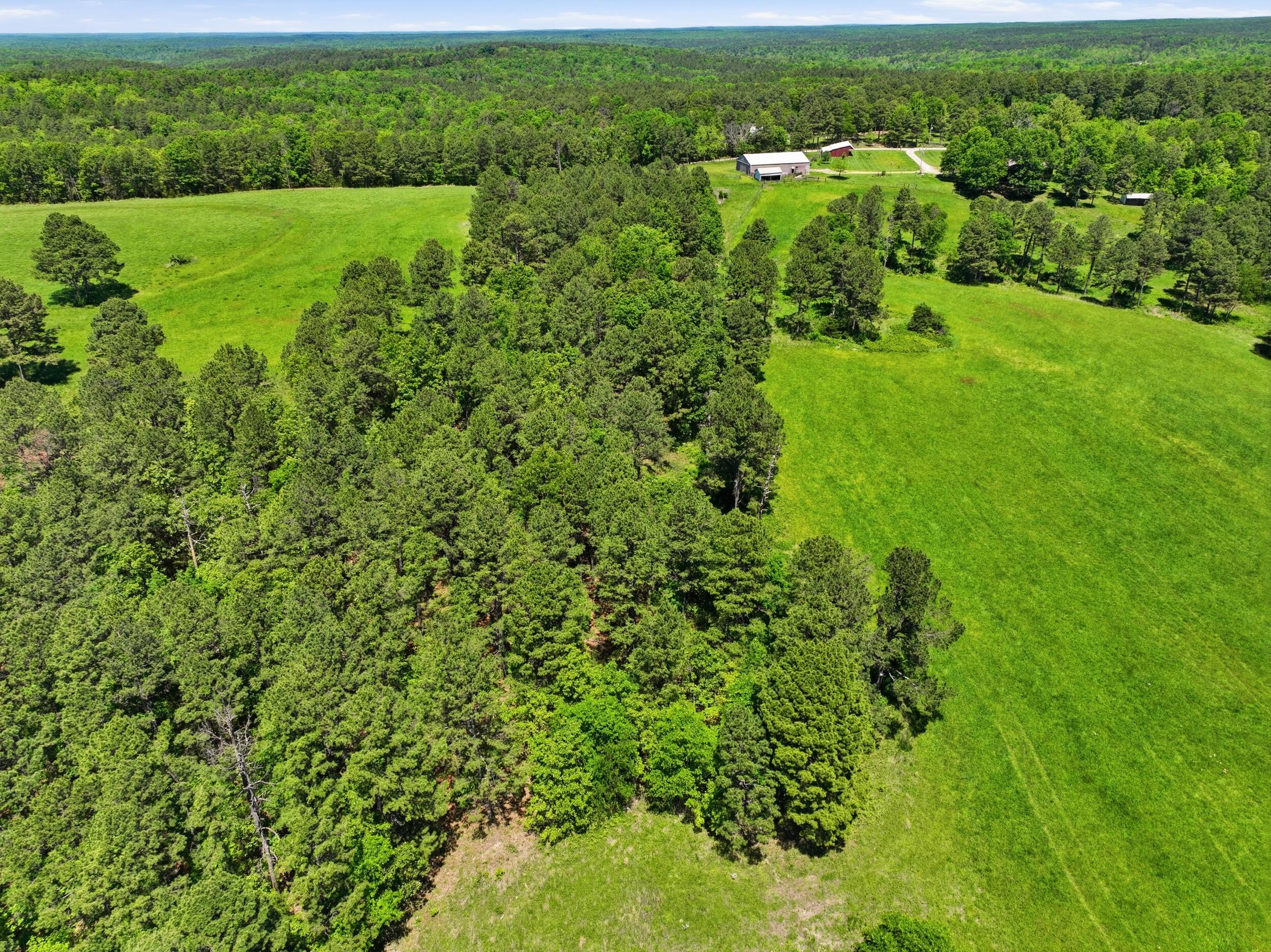 main property photo 44