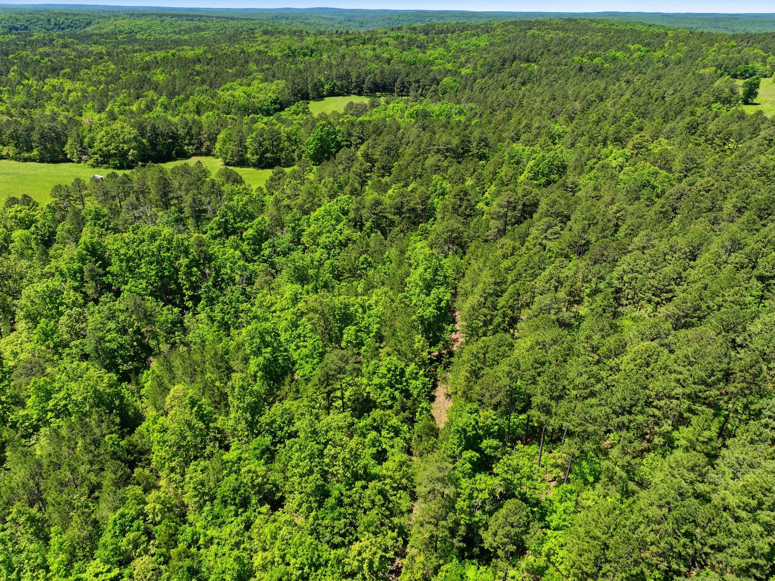 main property photo 47