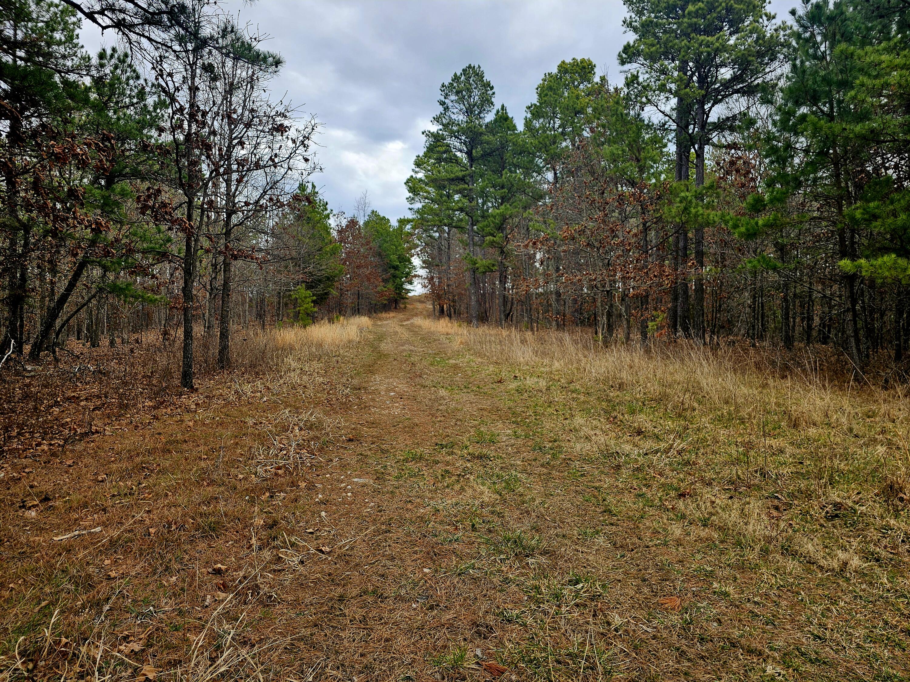 main property photo 55