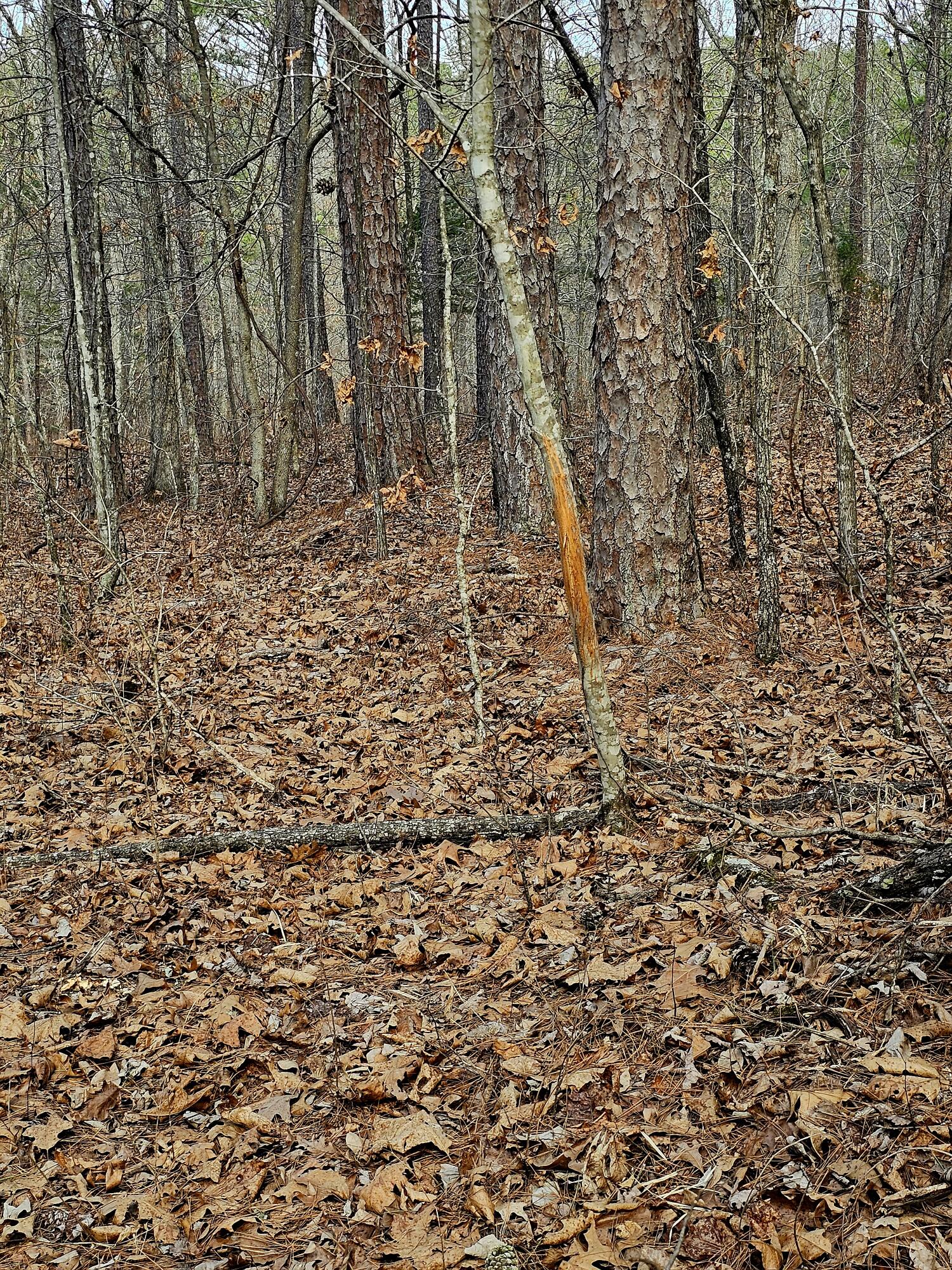 main property photo 59