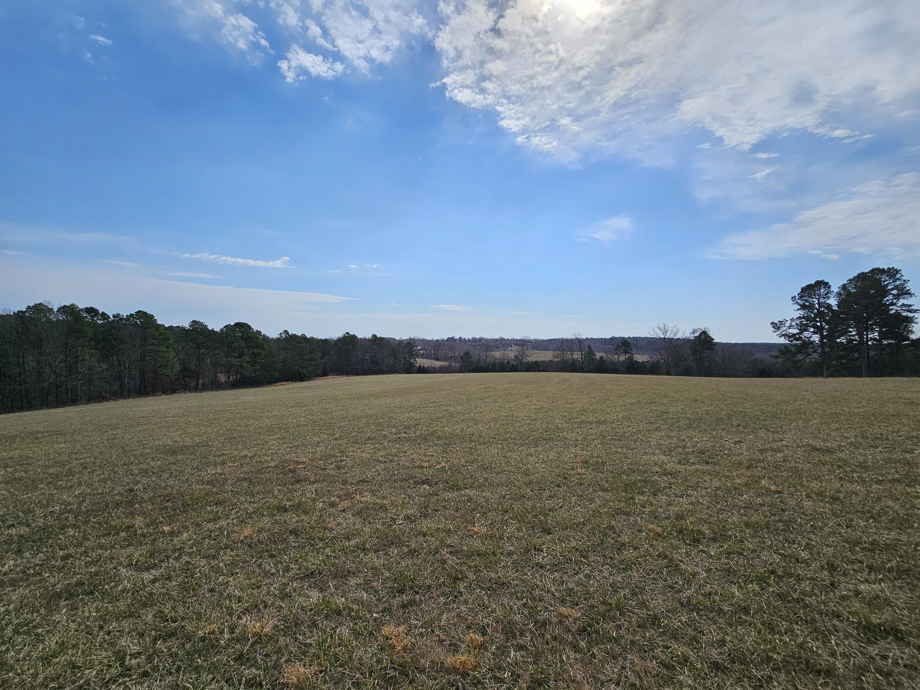main property photo 68