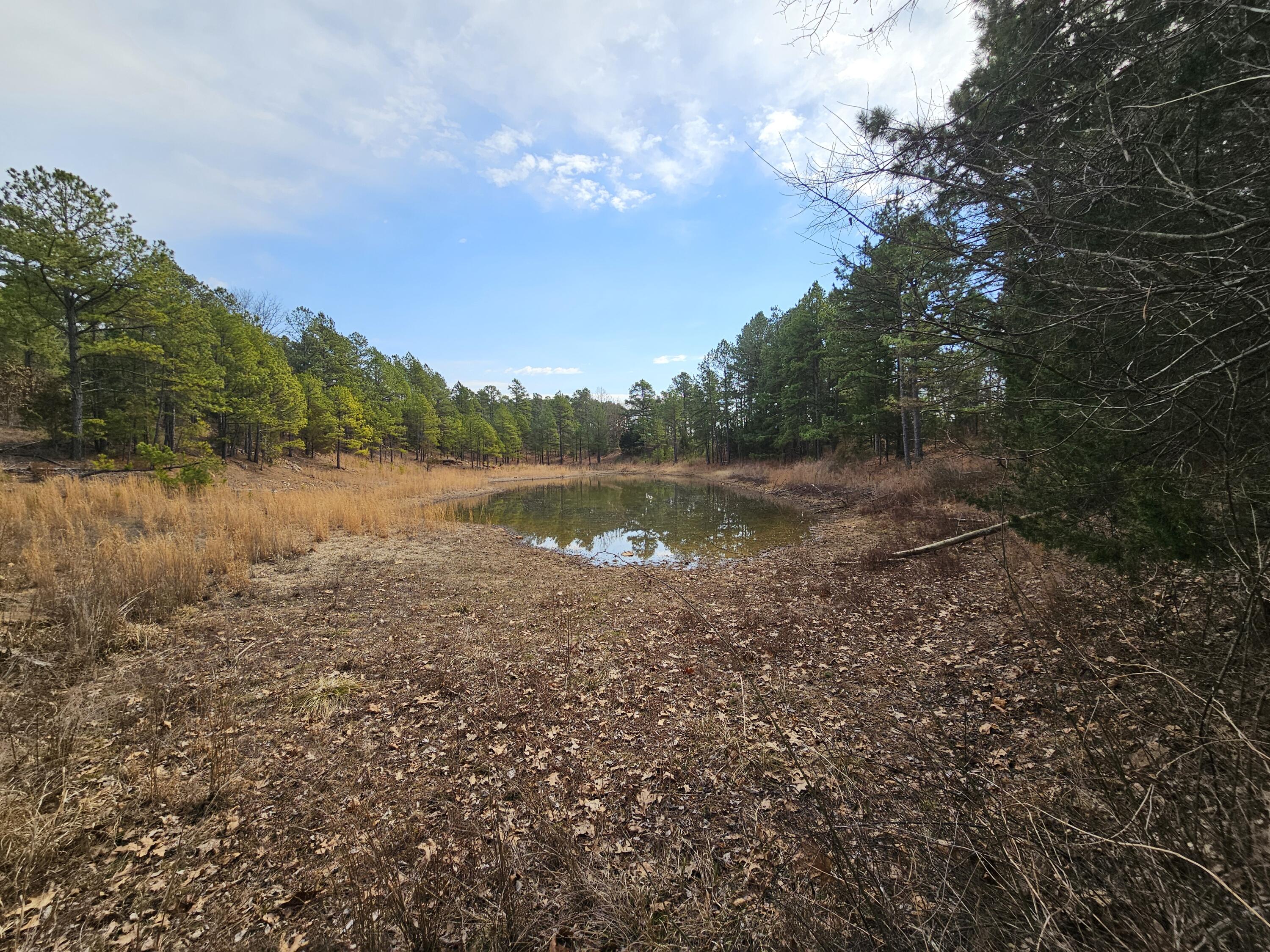 main property photo 71