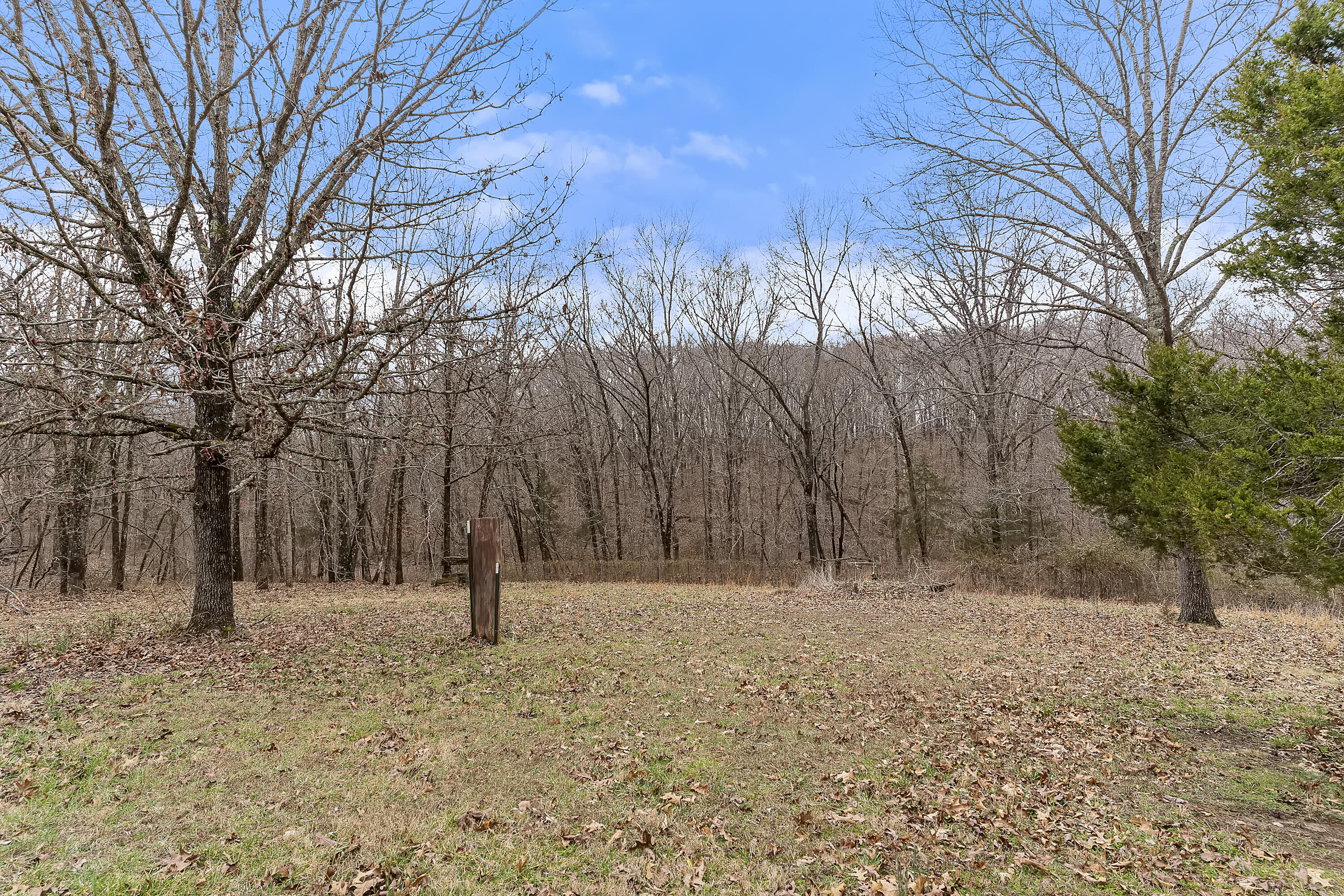 main property photo 50