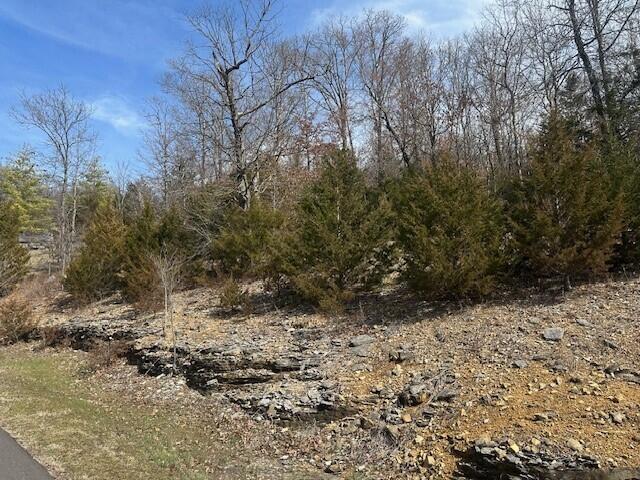 main property photo 8