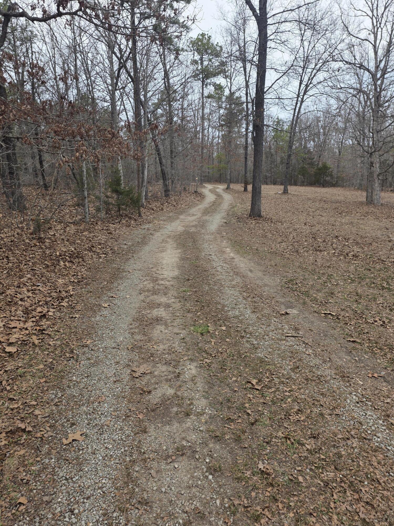 main property photo 53