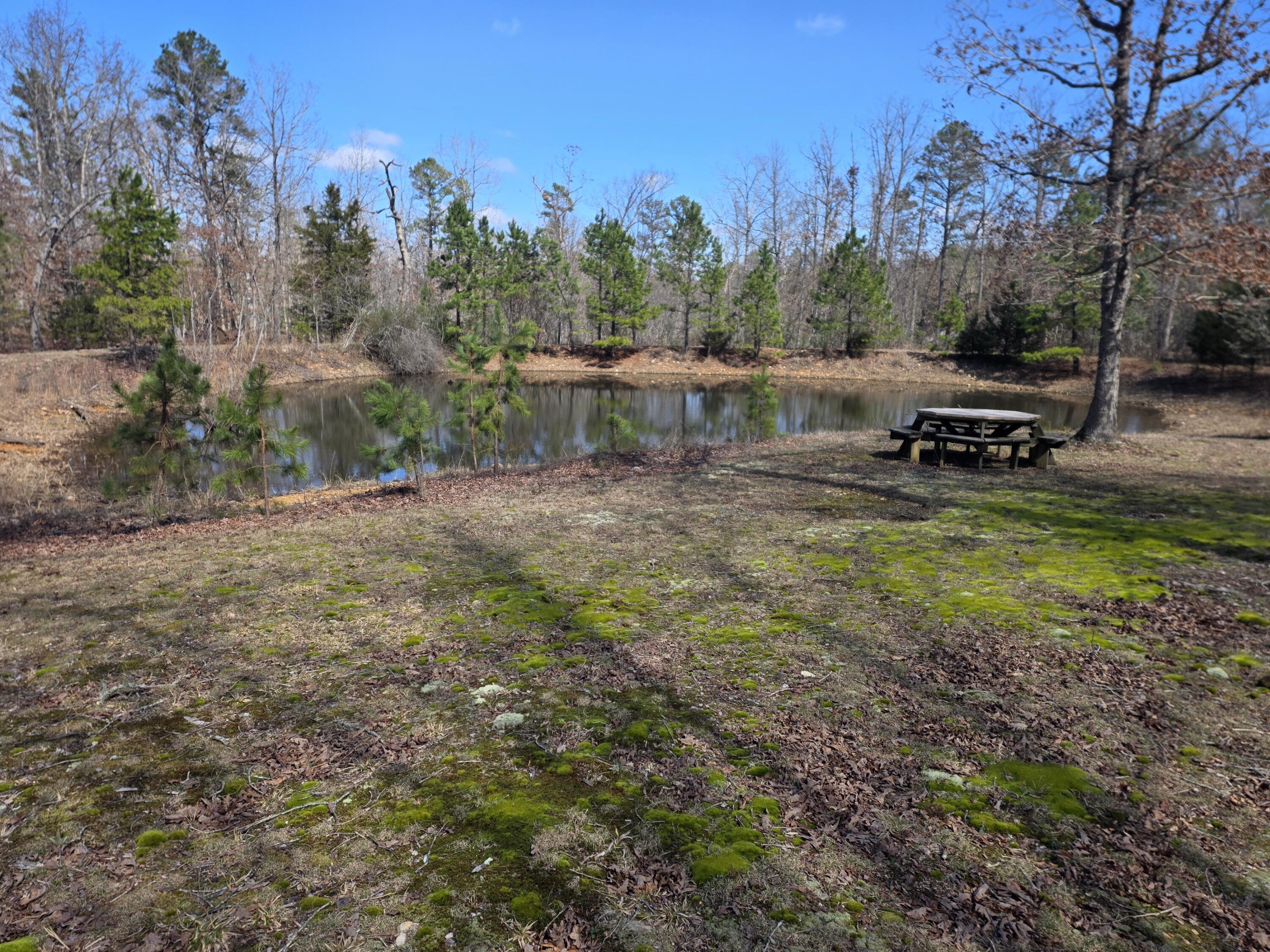 main property photo 54