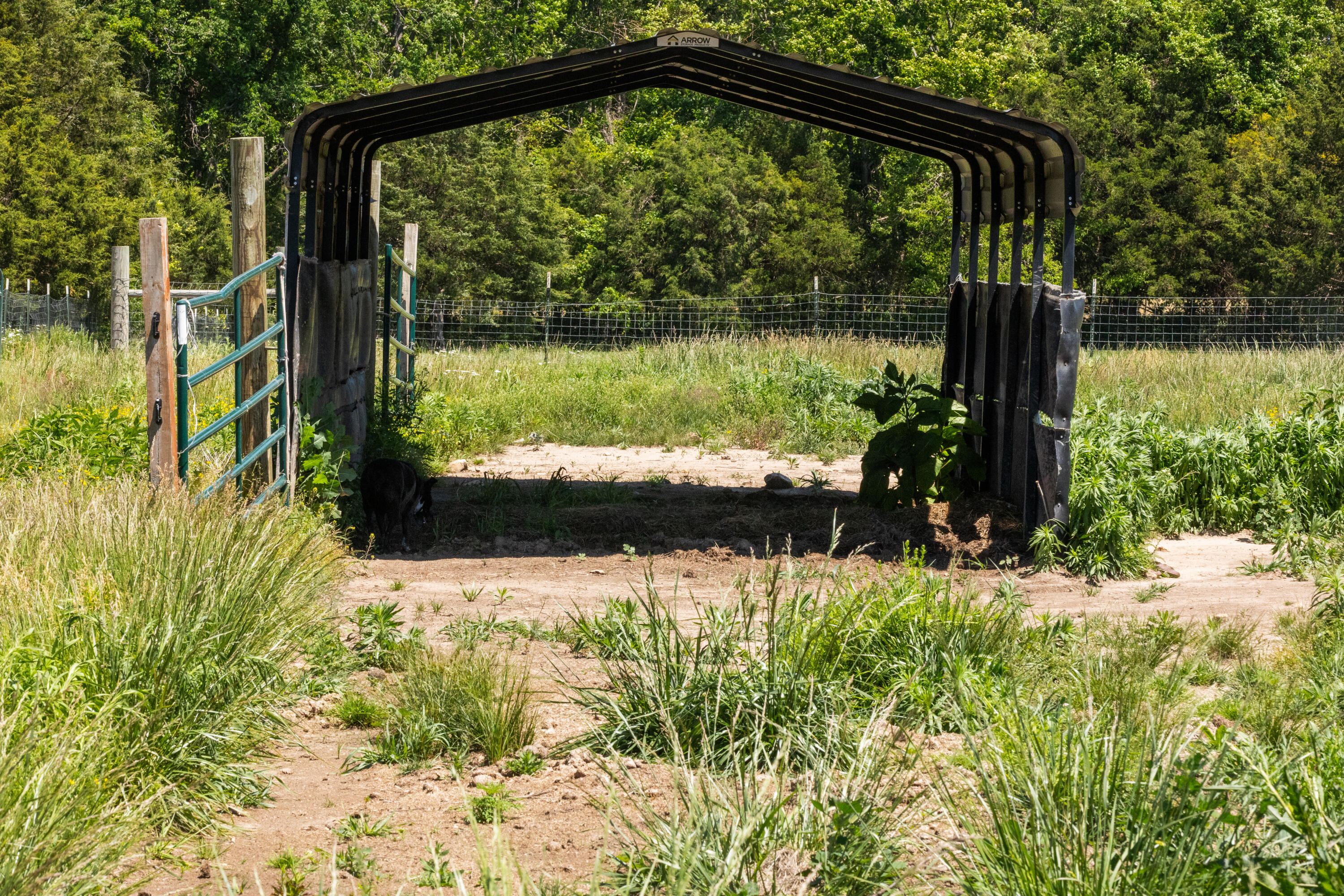 main property photo 20