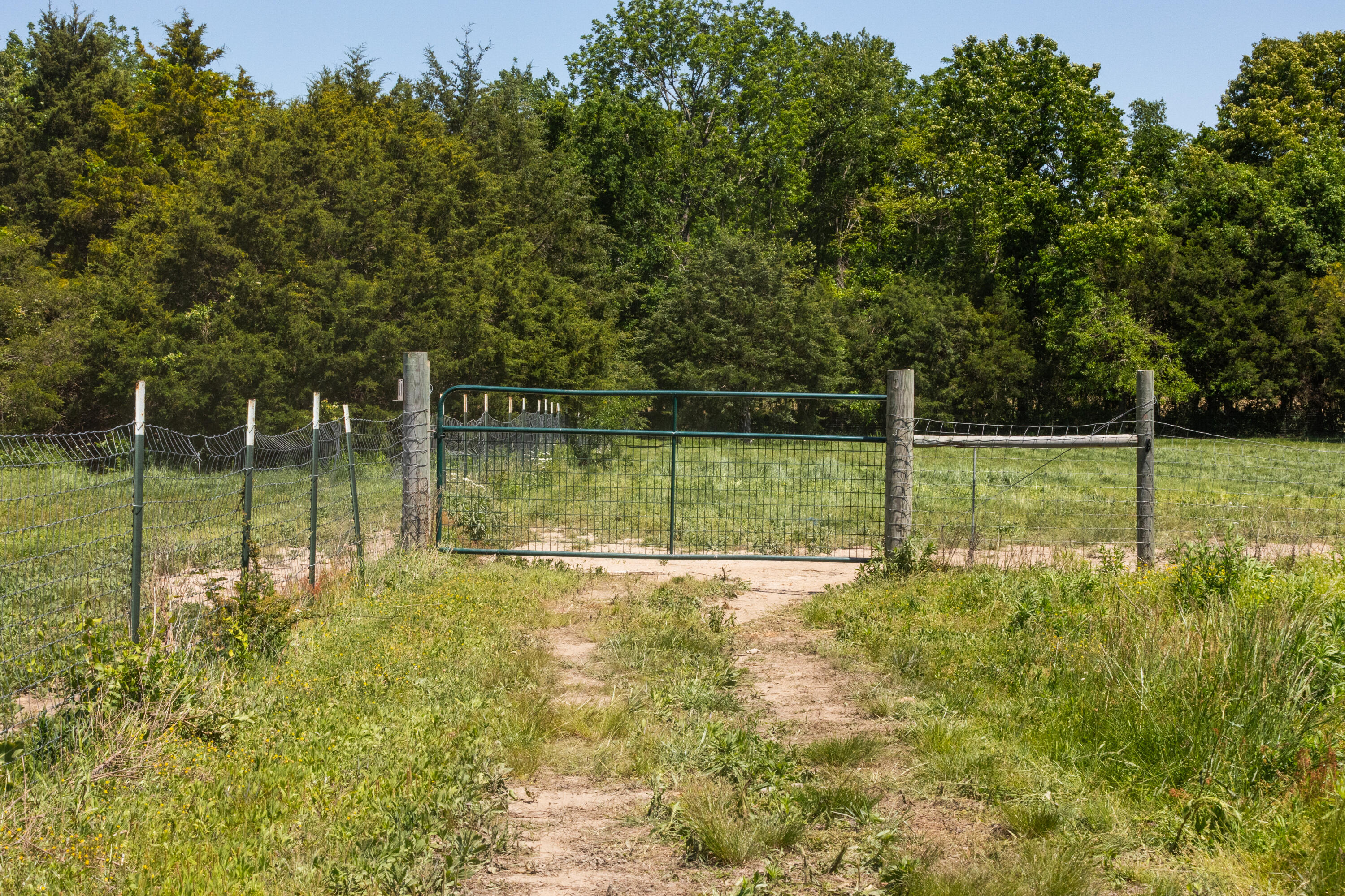 main property photo 28