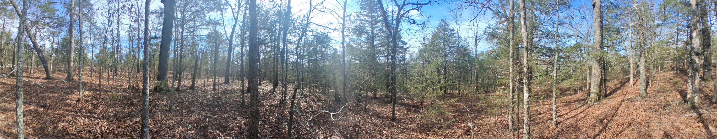 main property photo 10
