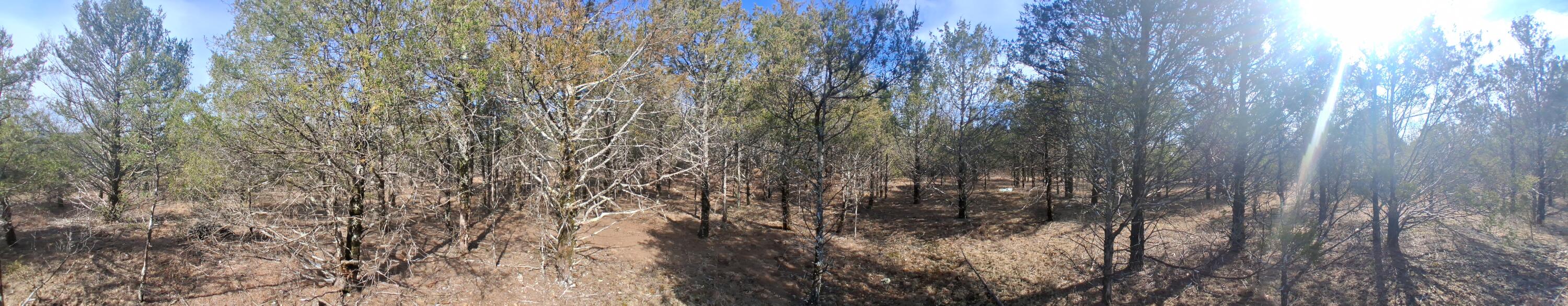 main property photo 11