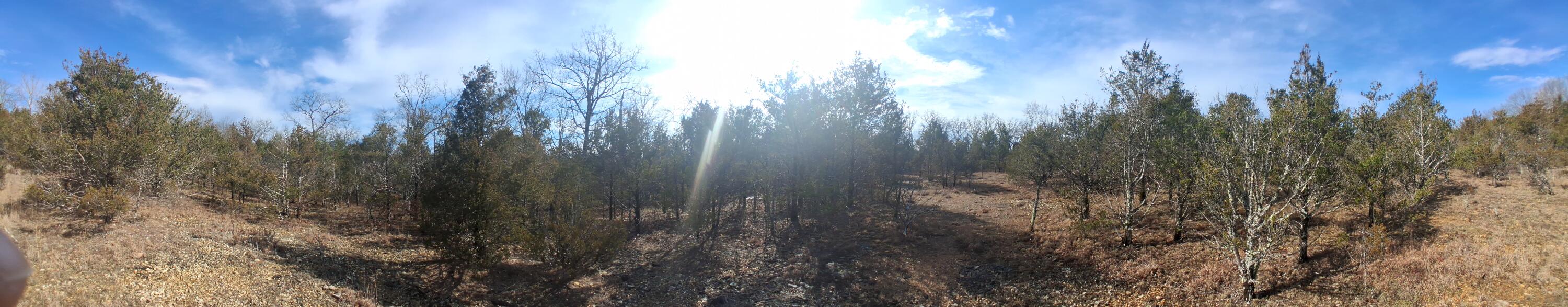 main property photo 12