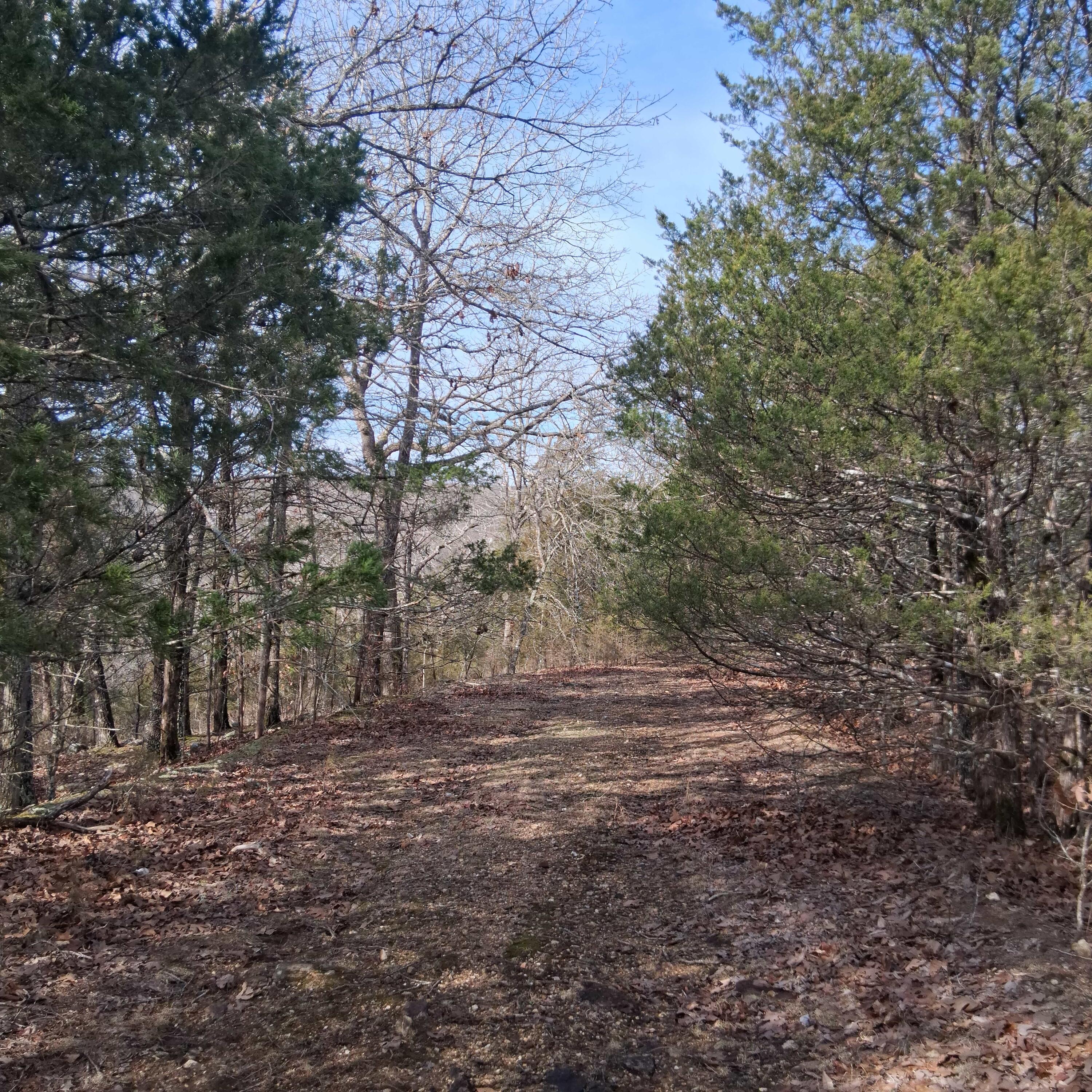 main property photo 17