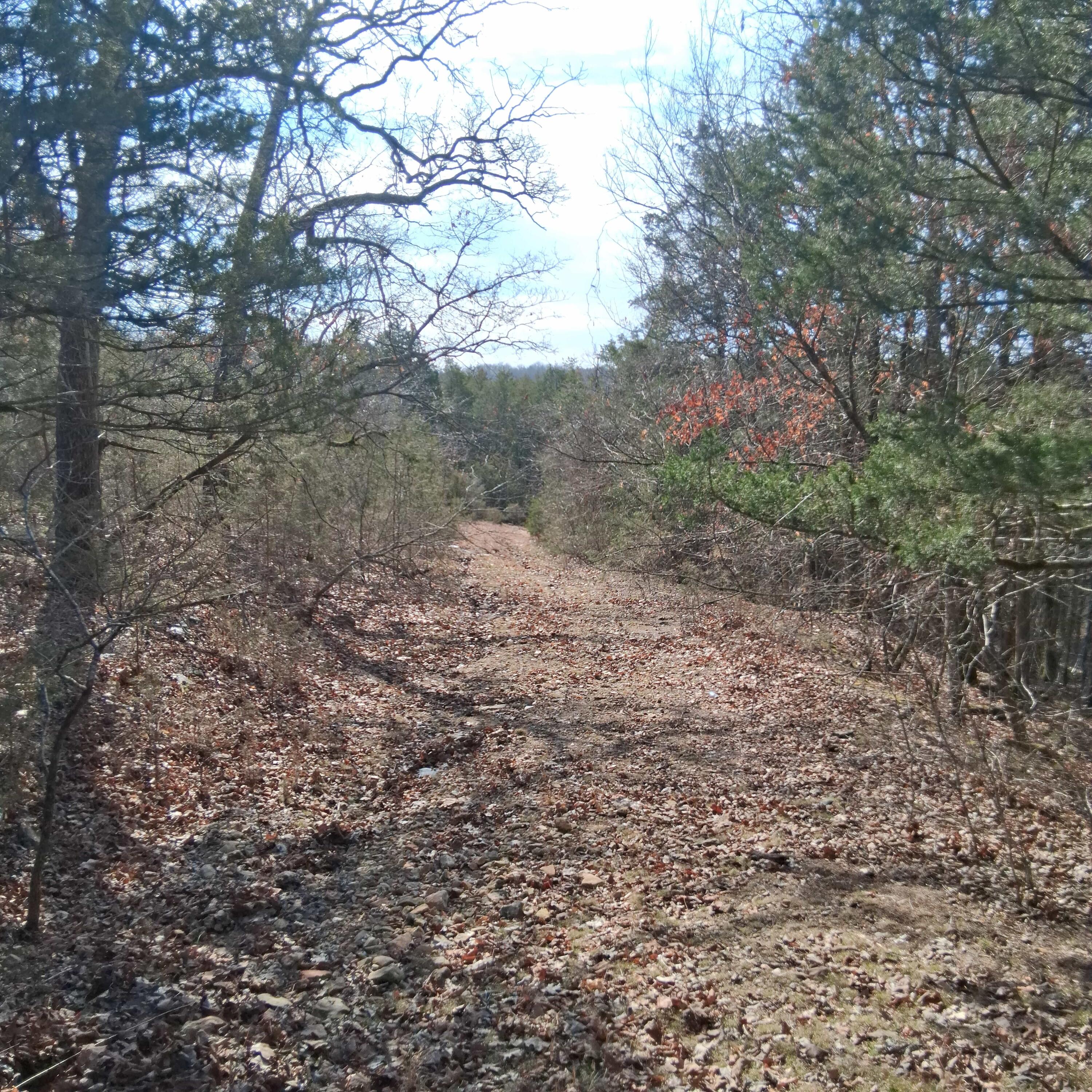 main property photo 18