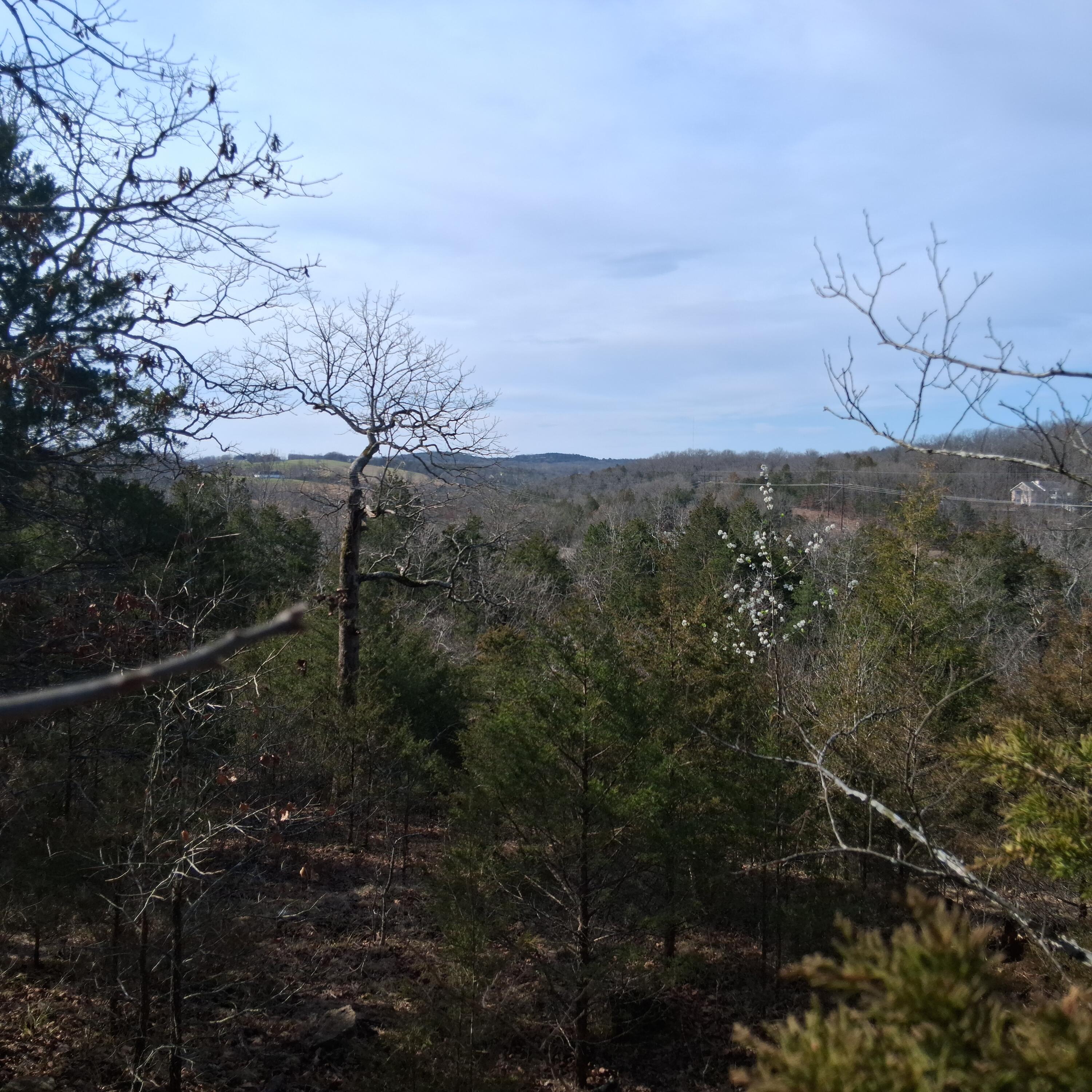 main property photo 19