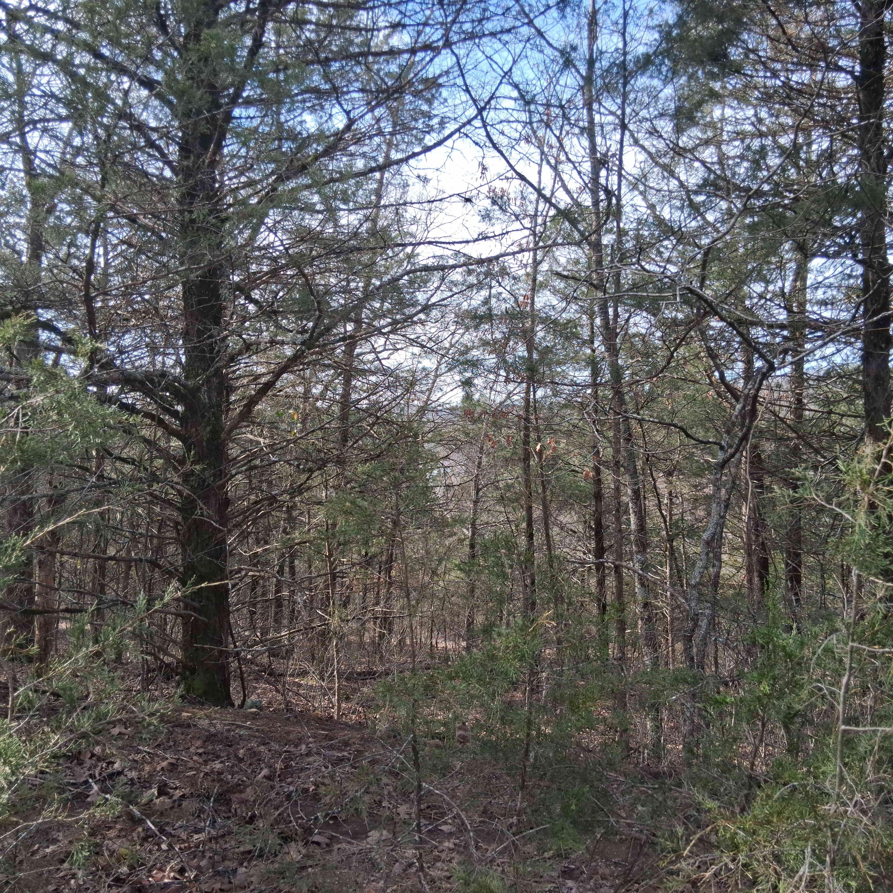 main property photo 22