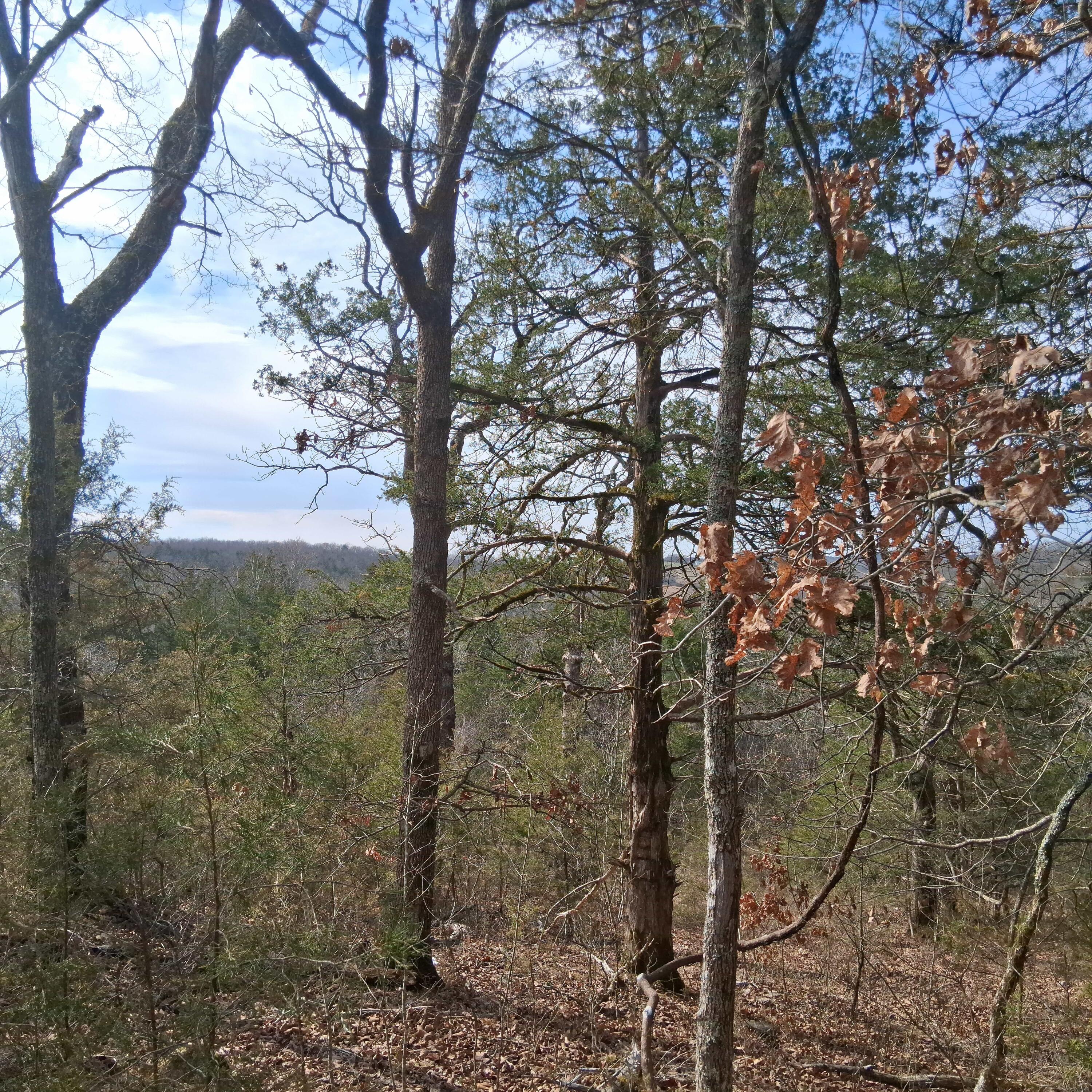 main property photo 23
