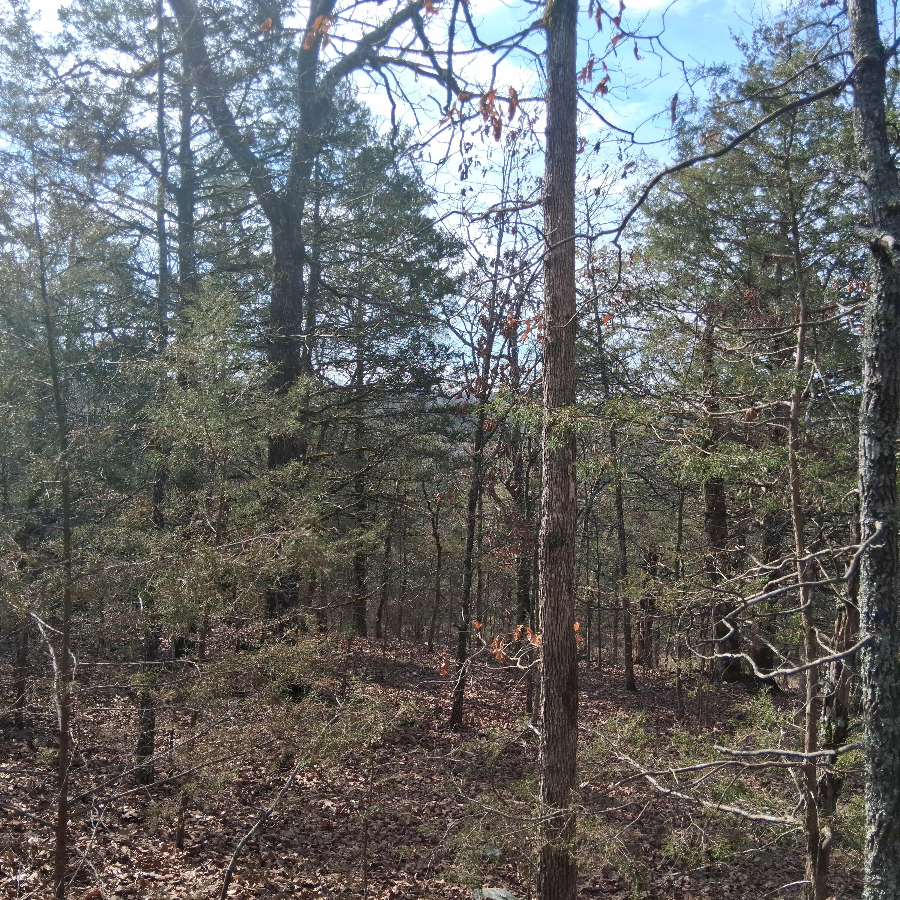 main property photo 24