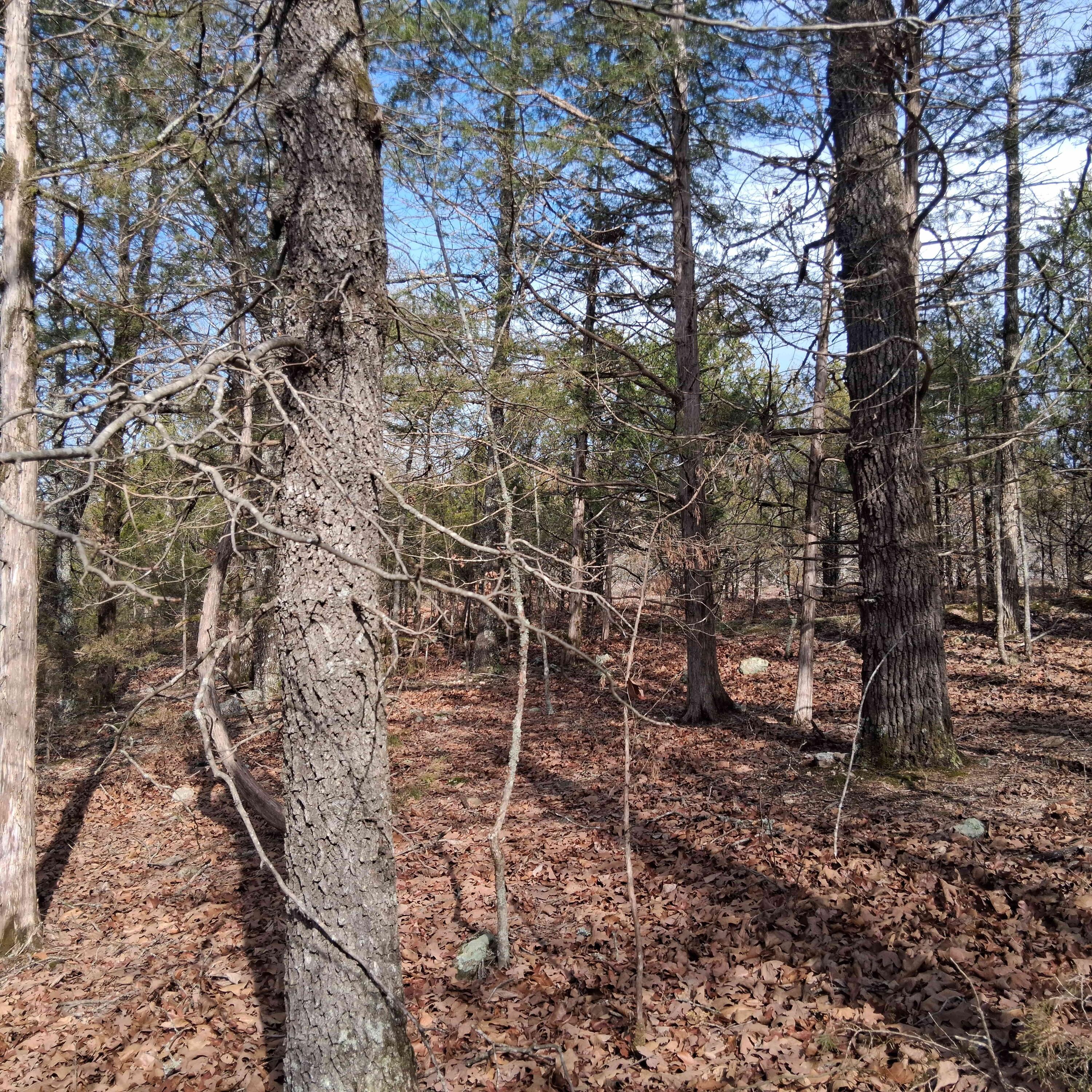 main property photo 25