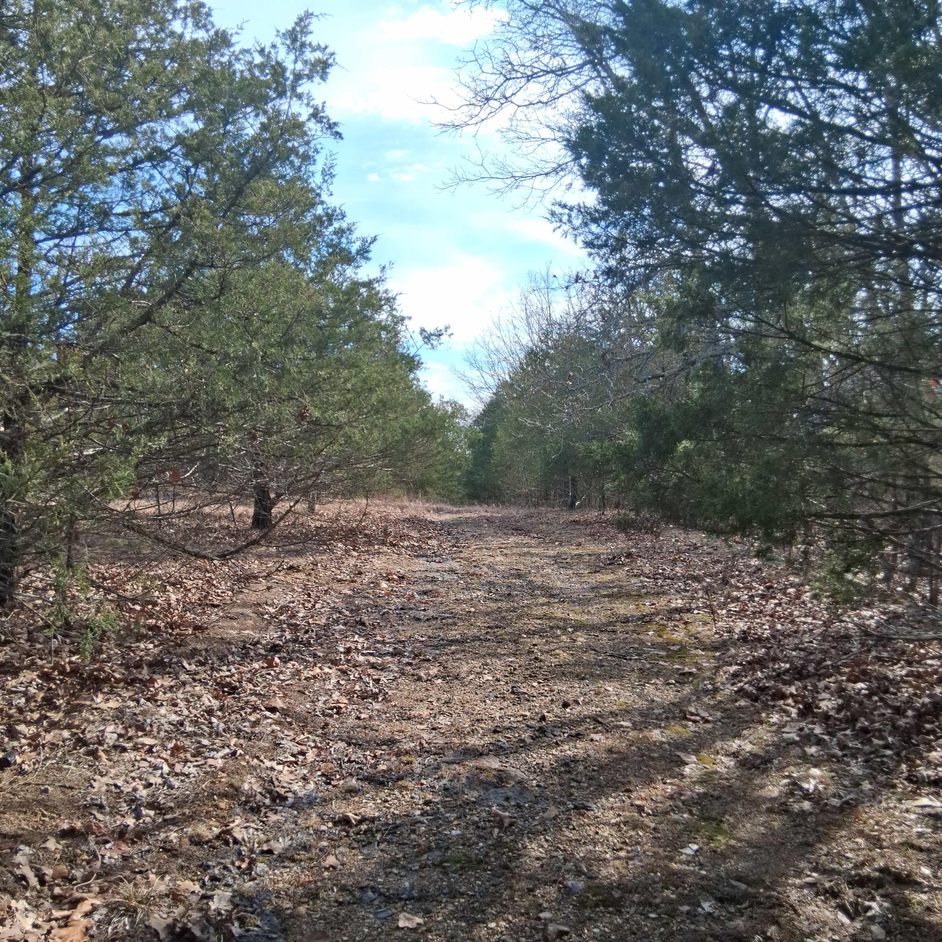 main property photo 26