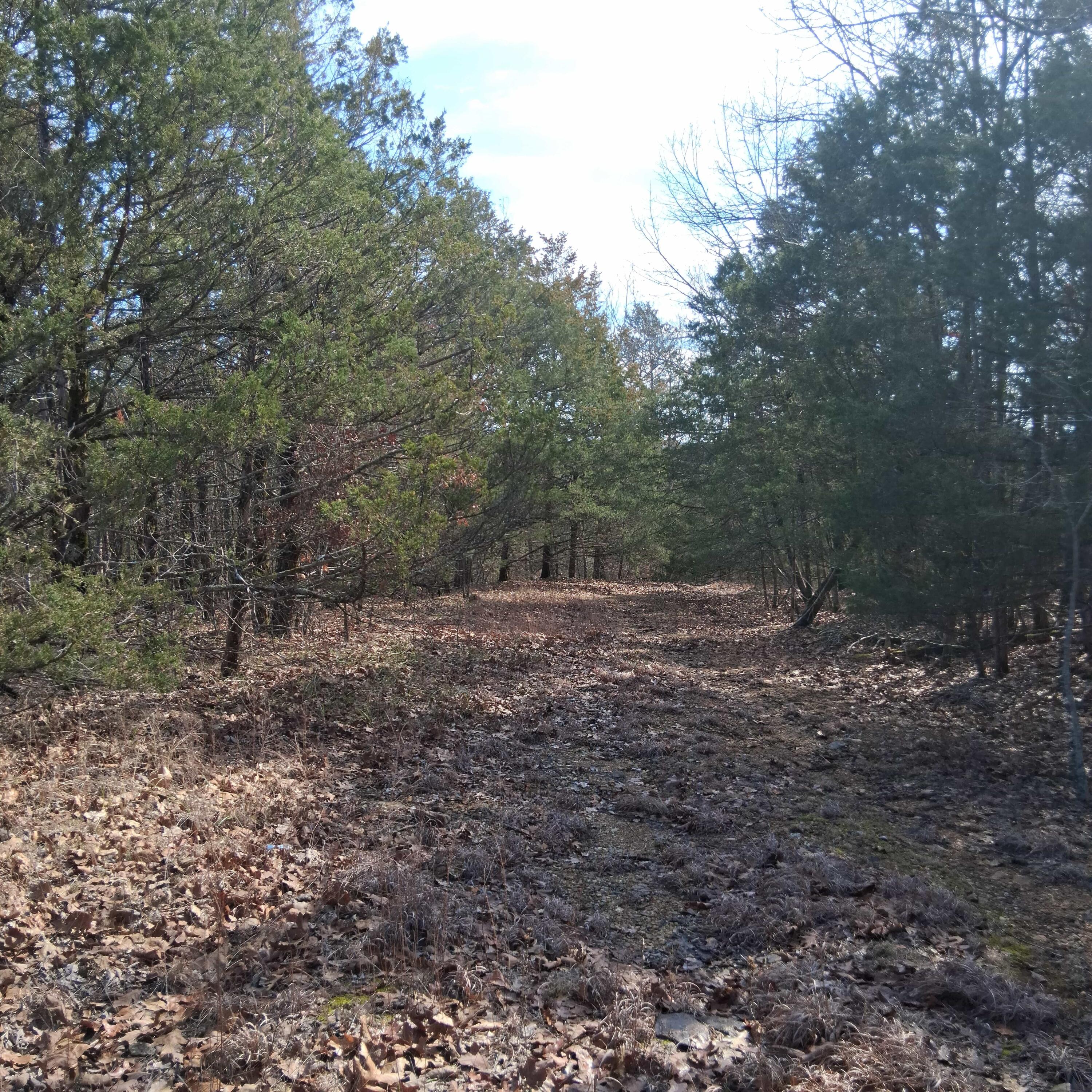 main property photo 27