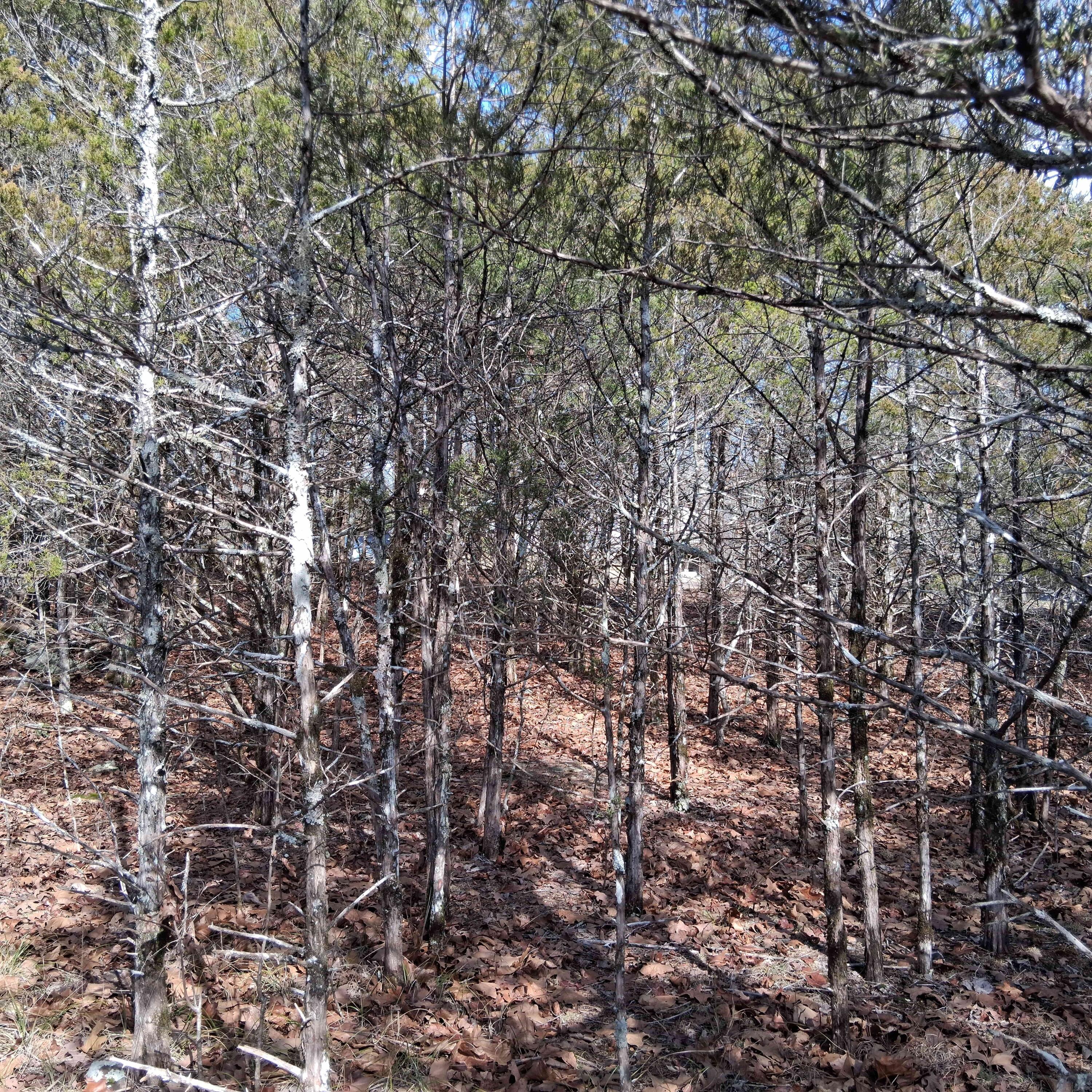 main property photo 29