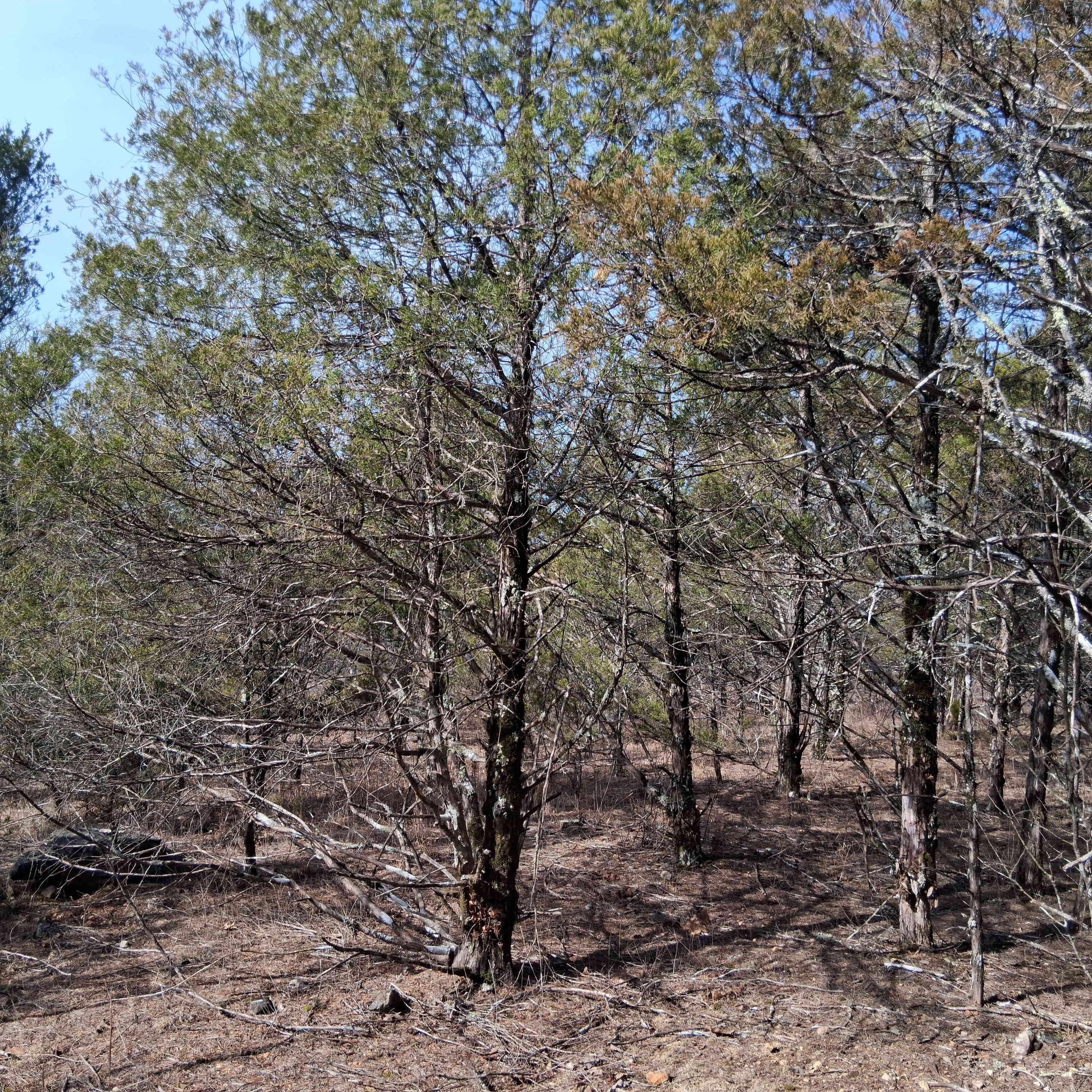 main property photo 30
