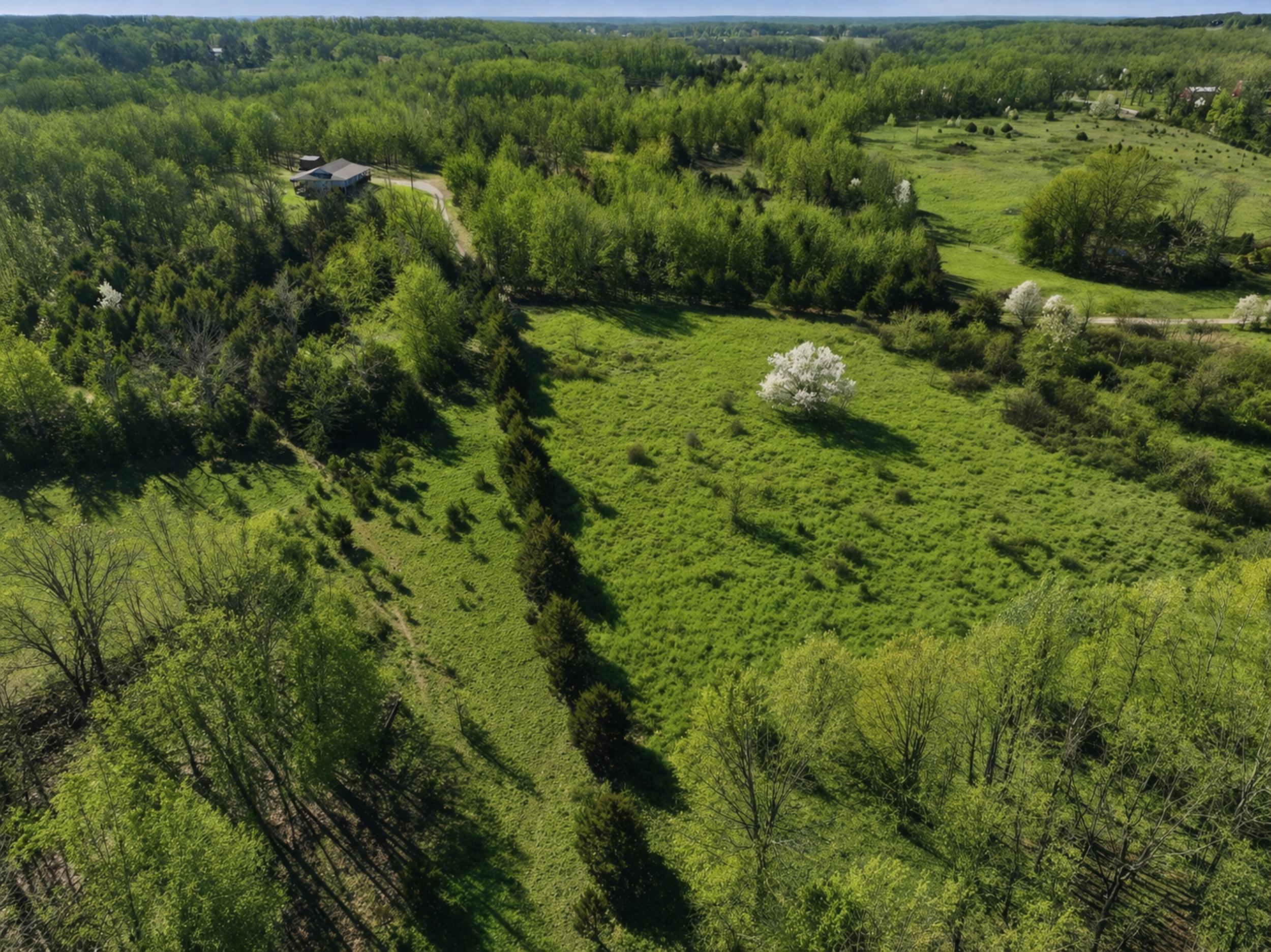 main property photo 45