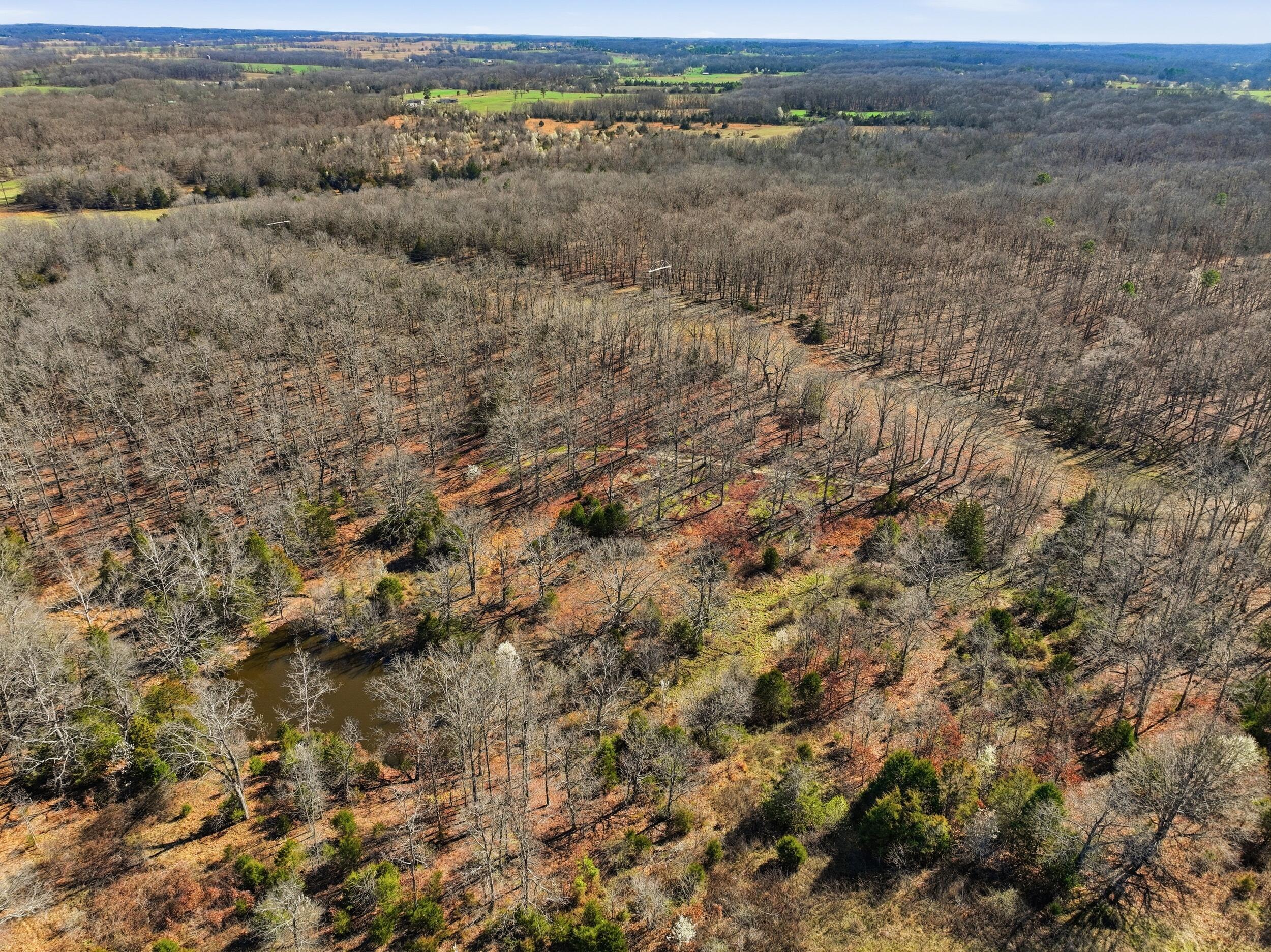 main property photo 88