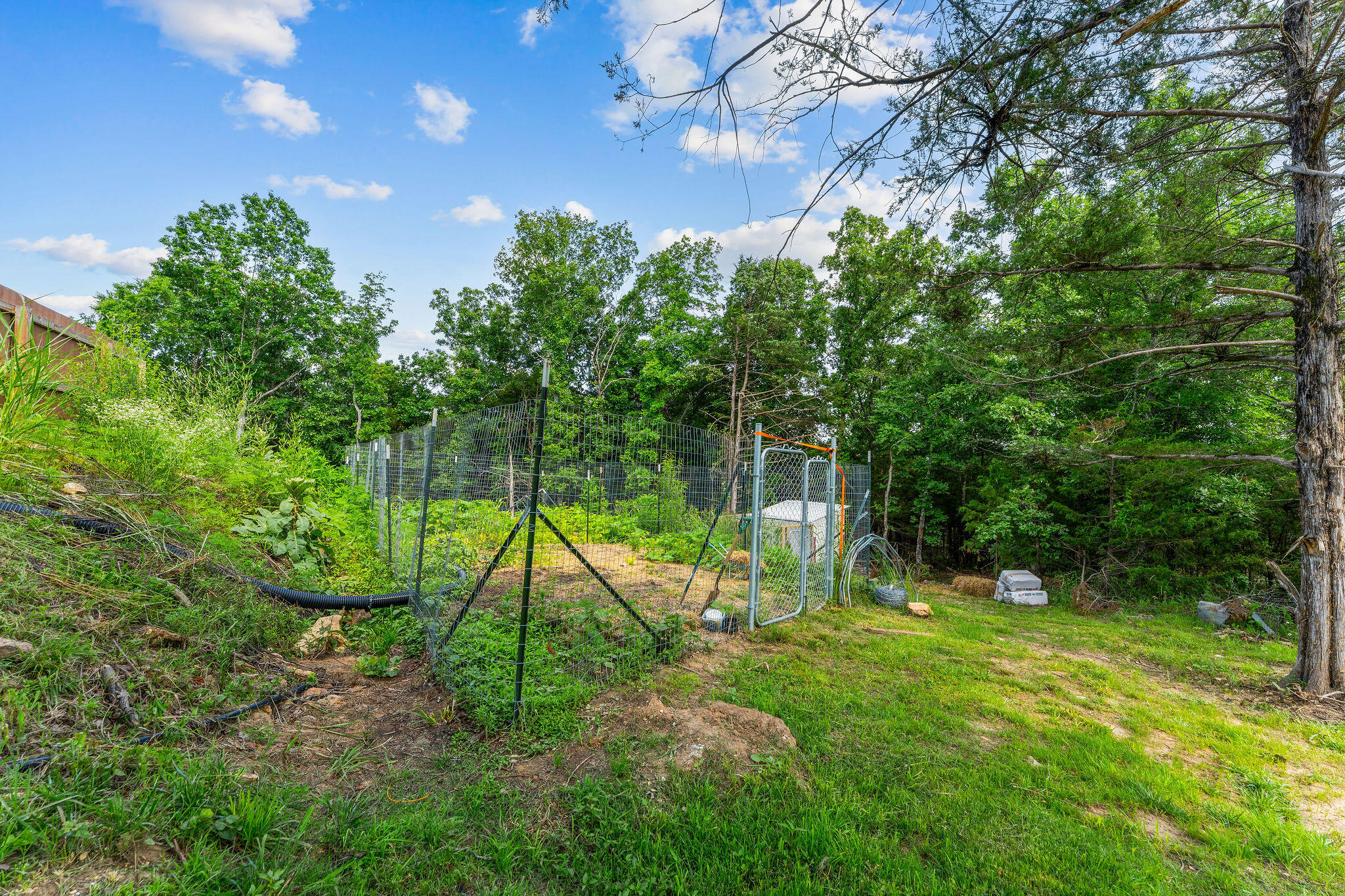 main property photo 55