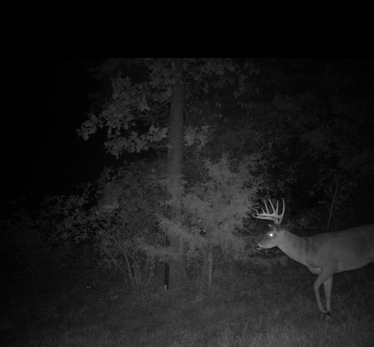 main property photo 64