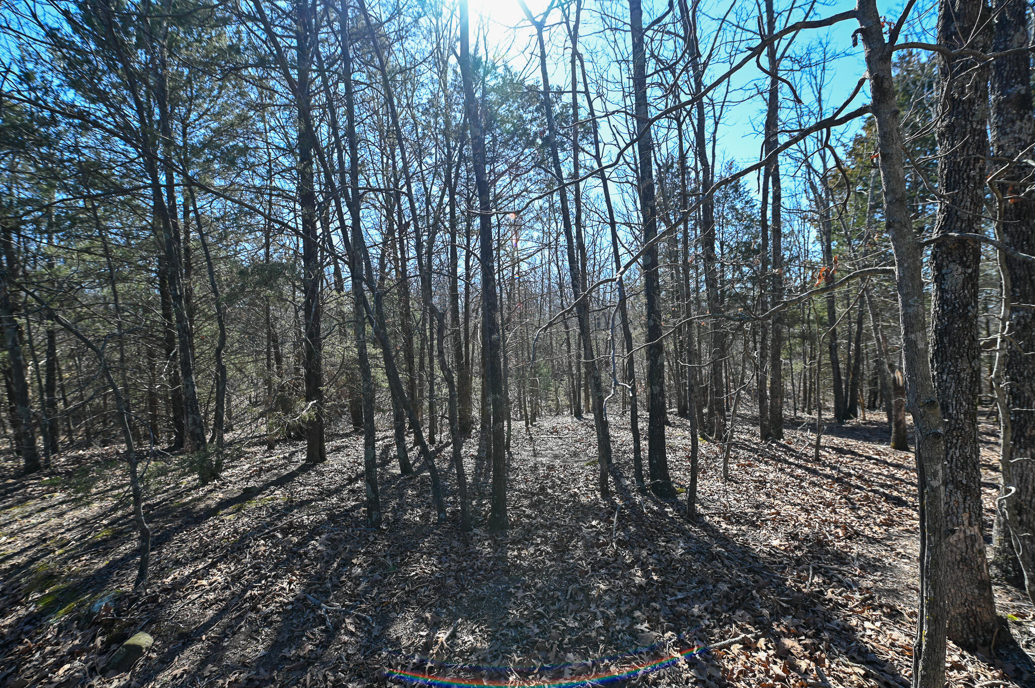 main property photo 38