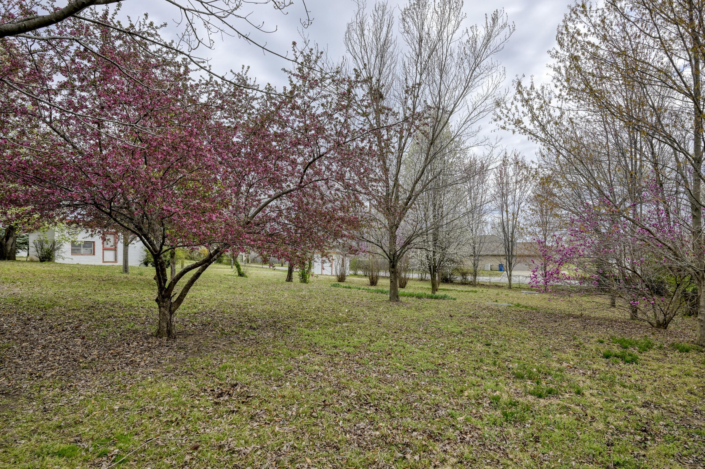 main property photo 127