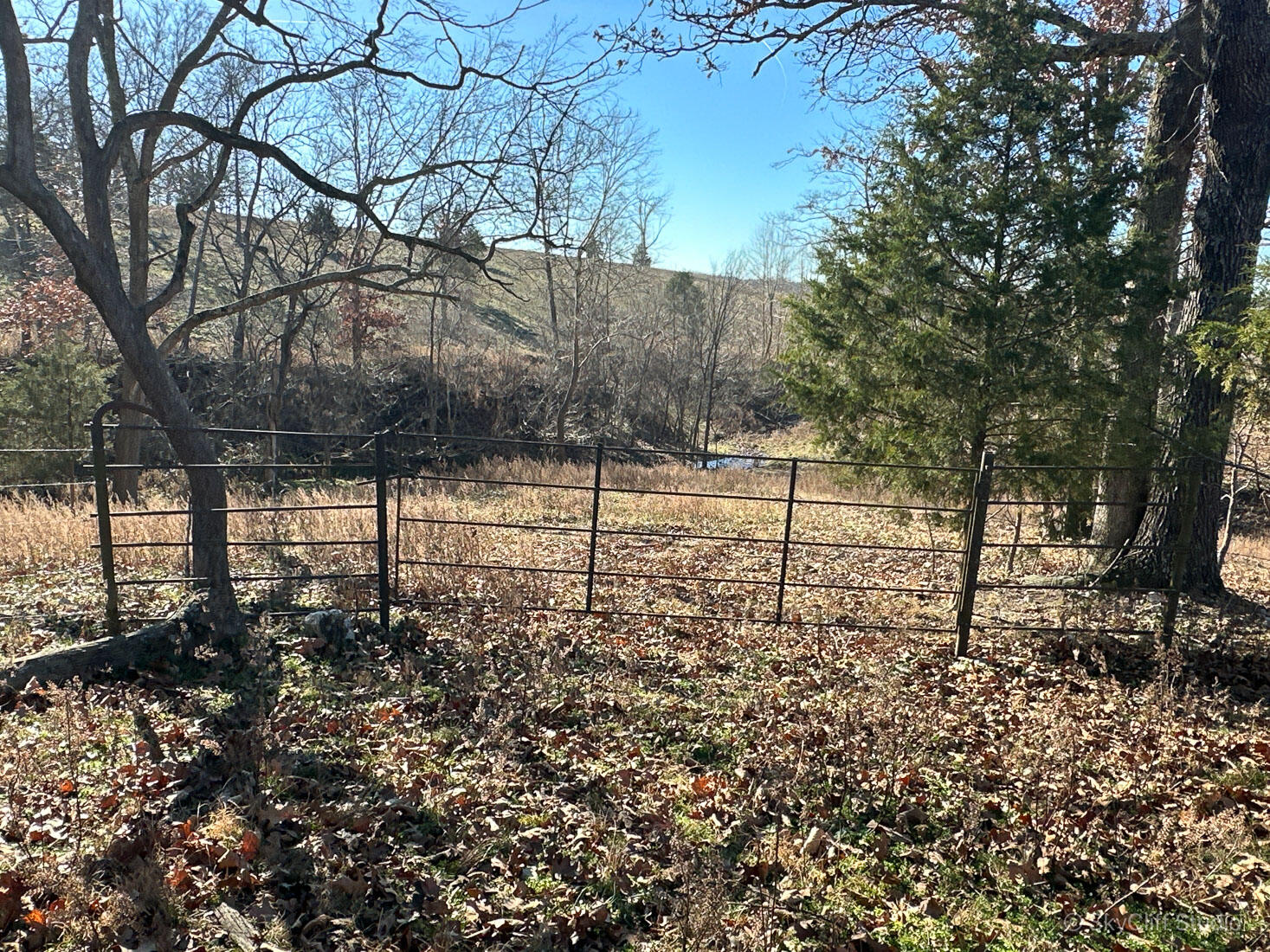 main property photo 29