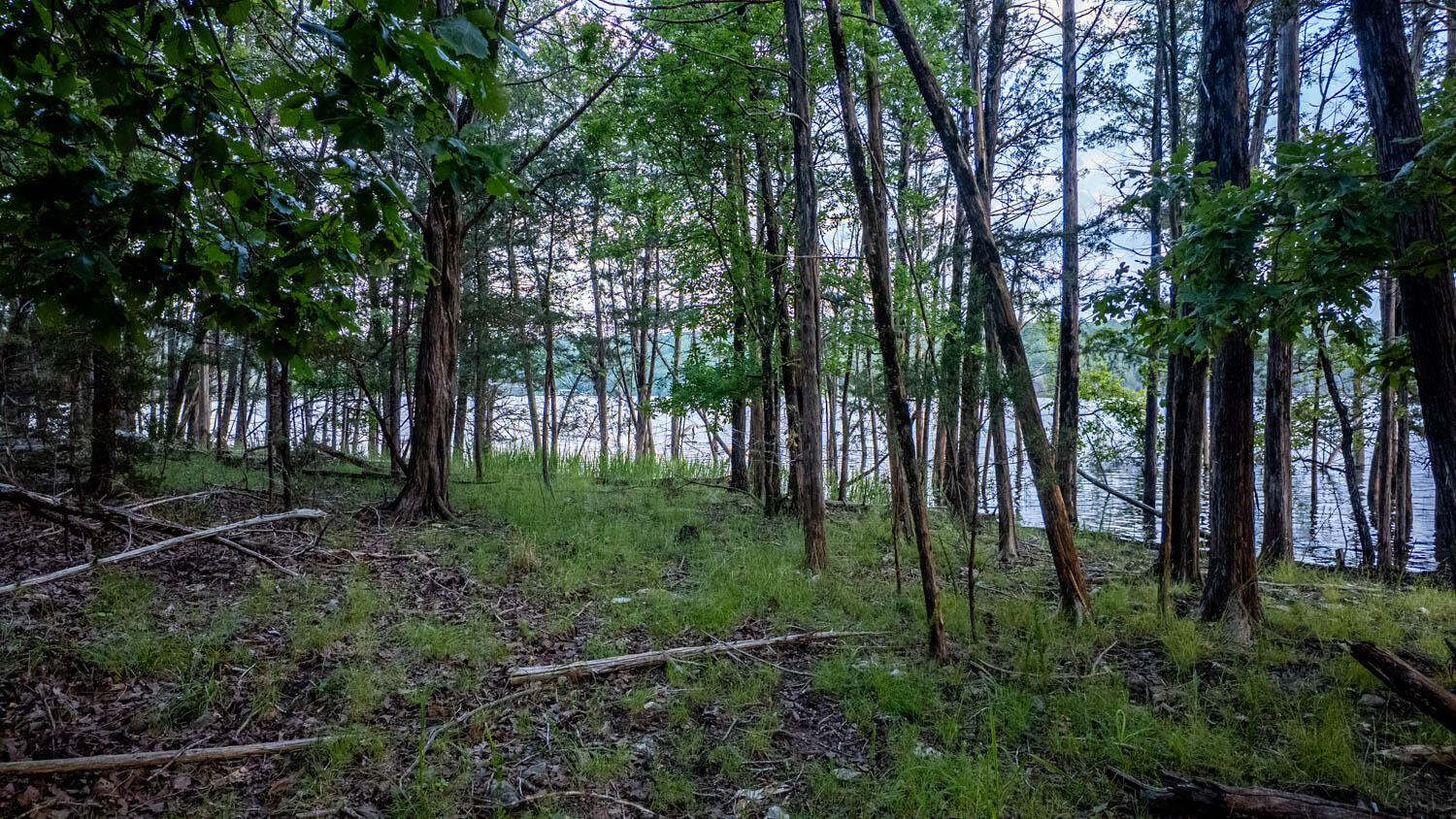 main property photo 104