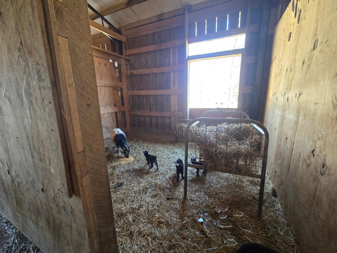 main property photo 31