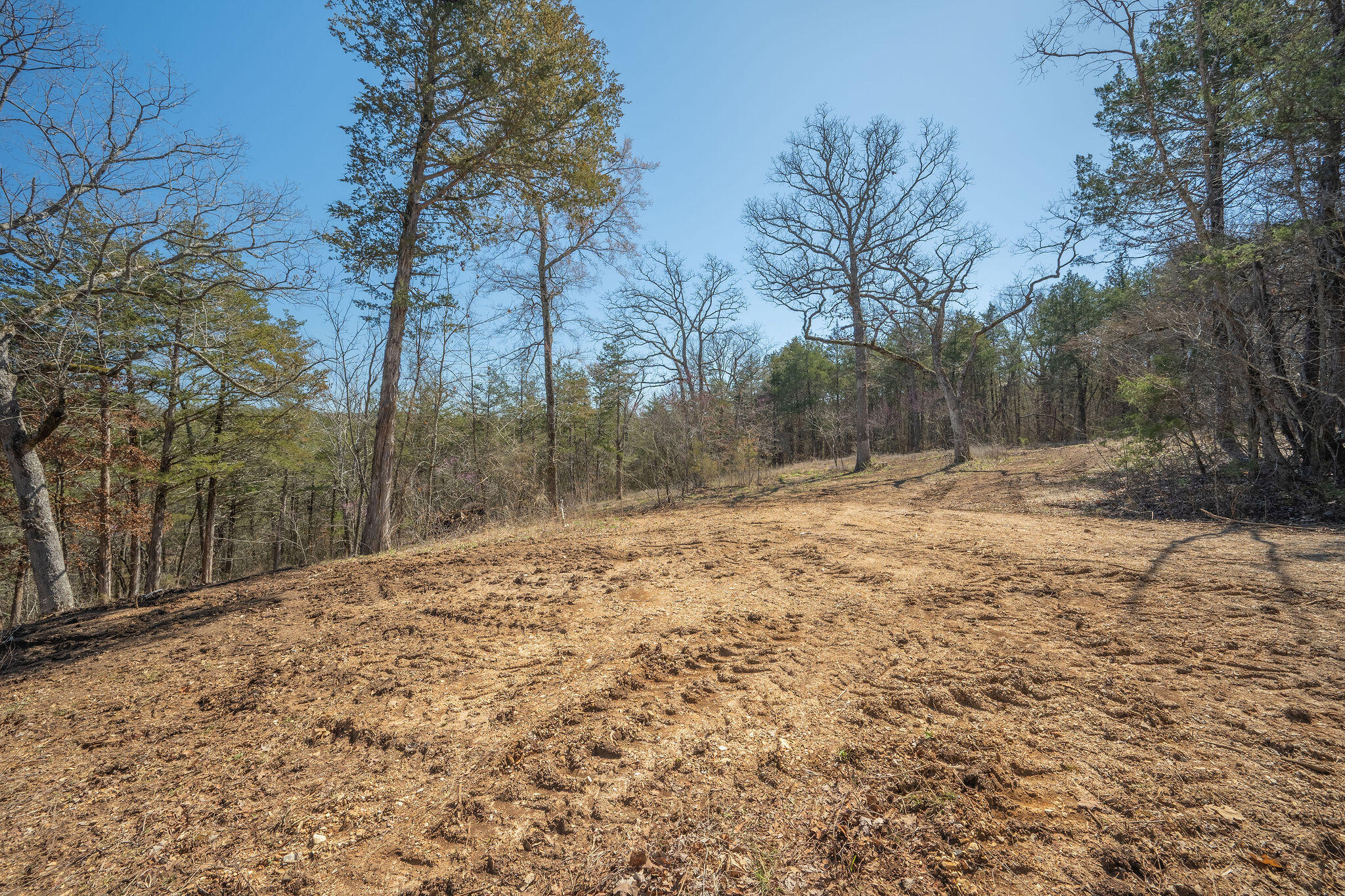 main property photo 11