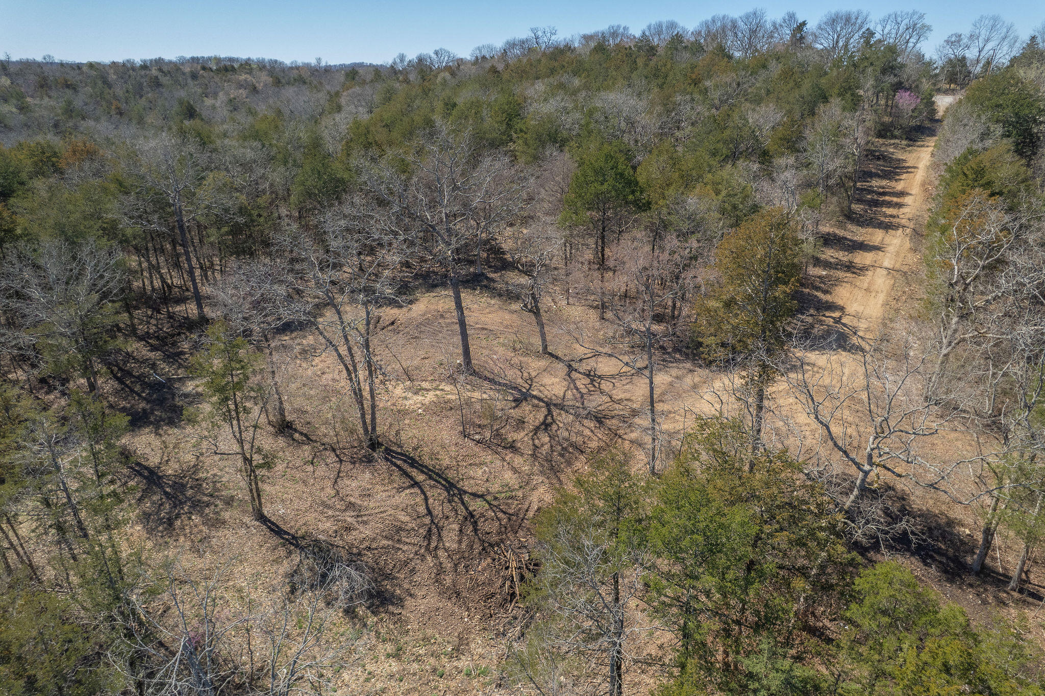 main property photo 6