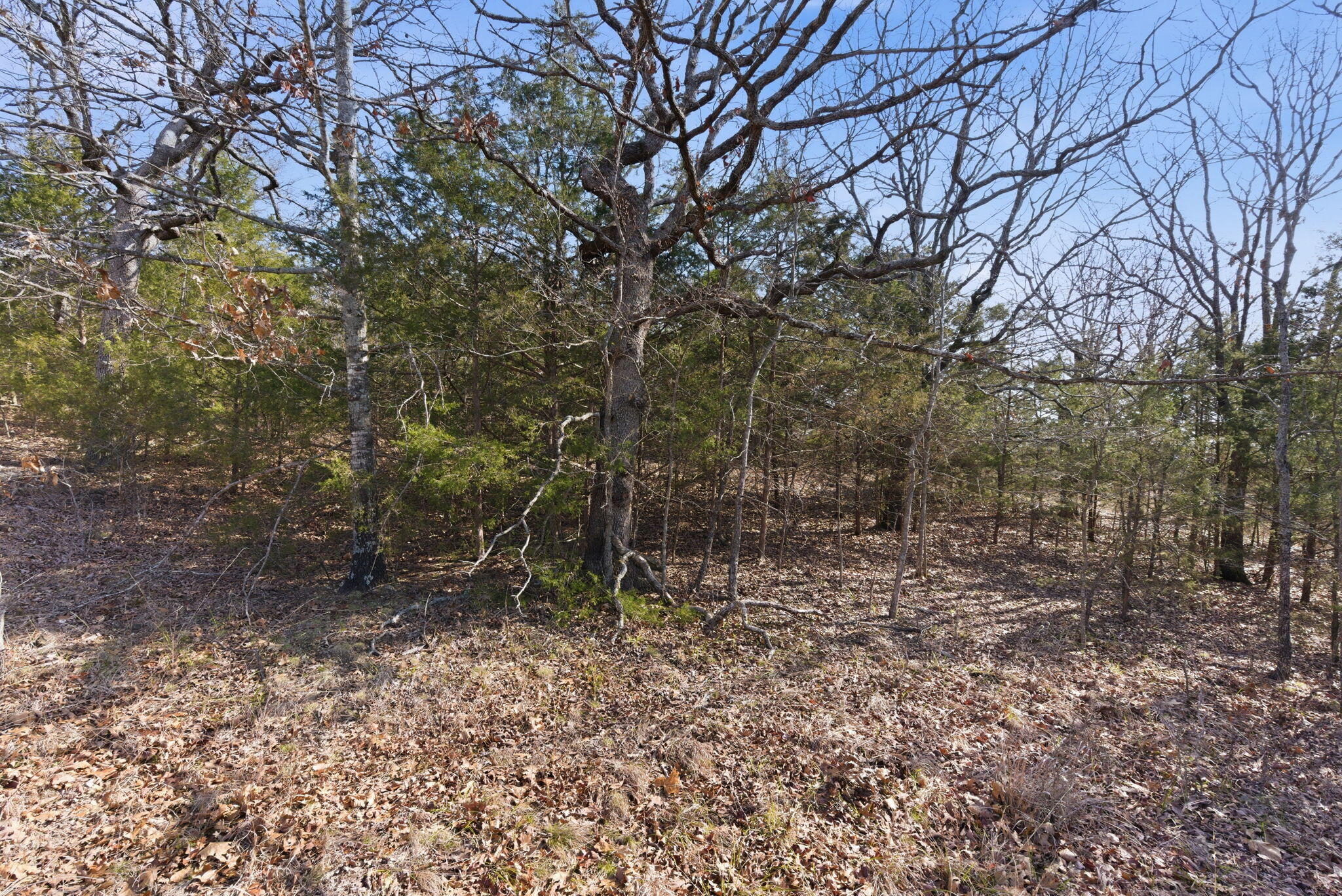 main property photo 8