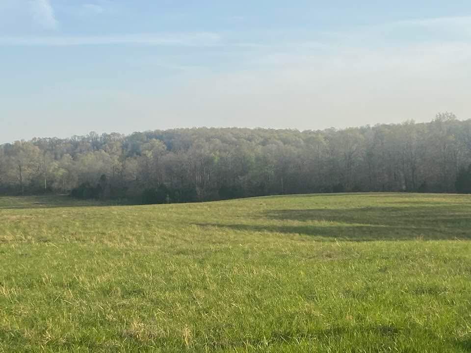 main property photo 41