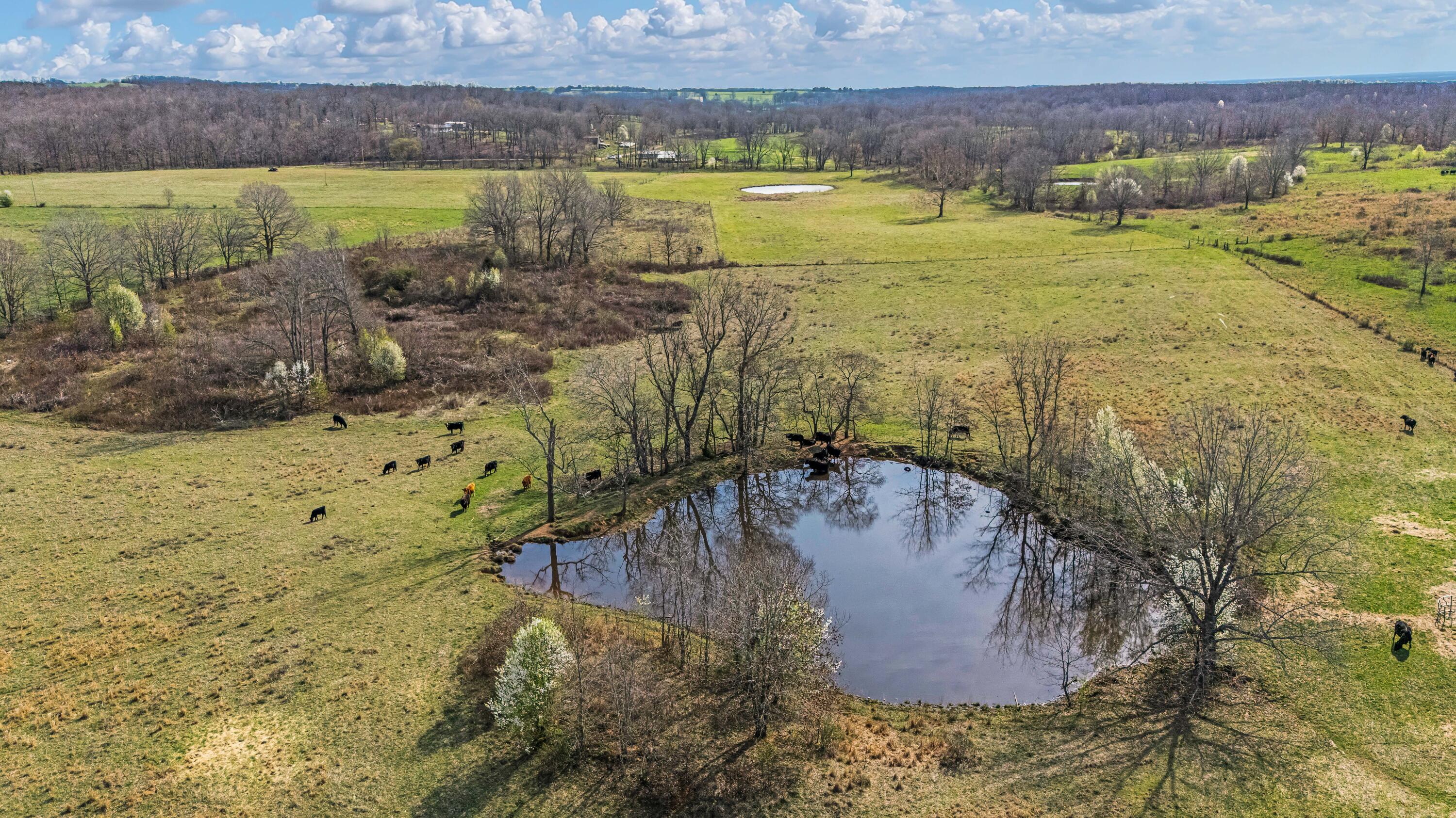 main property photo 101