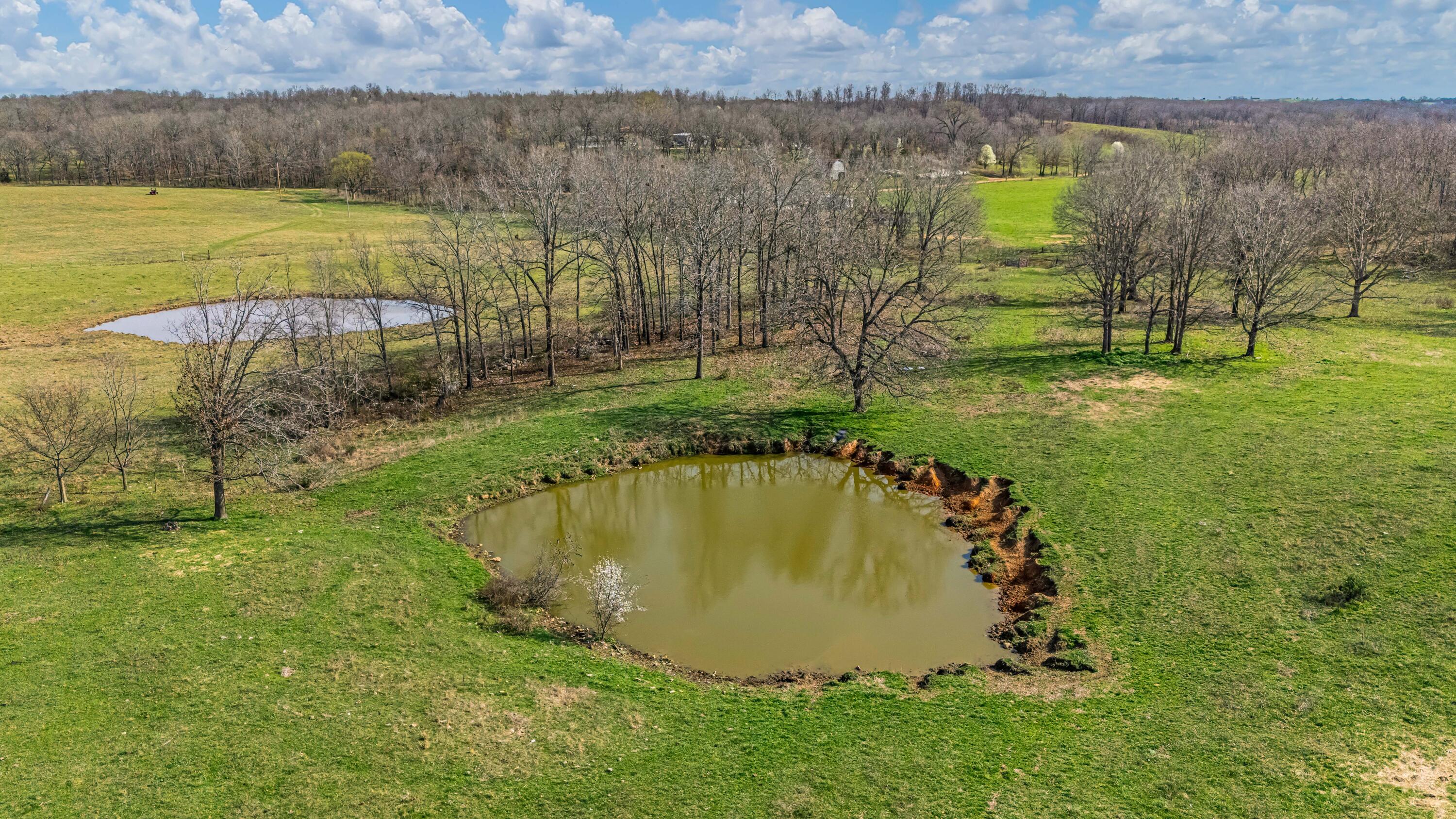 main property photo 118