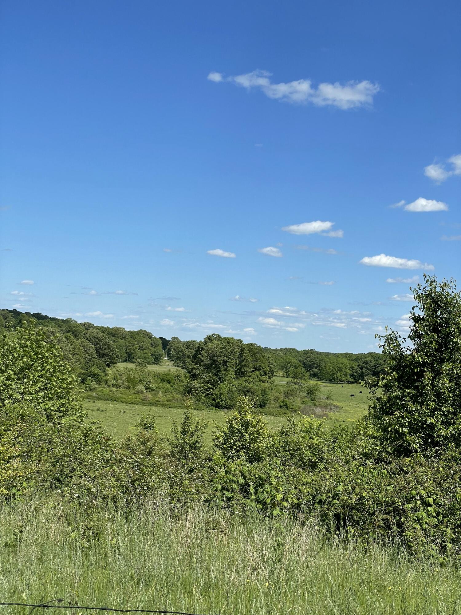 main property photo 50