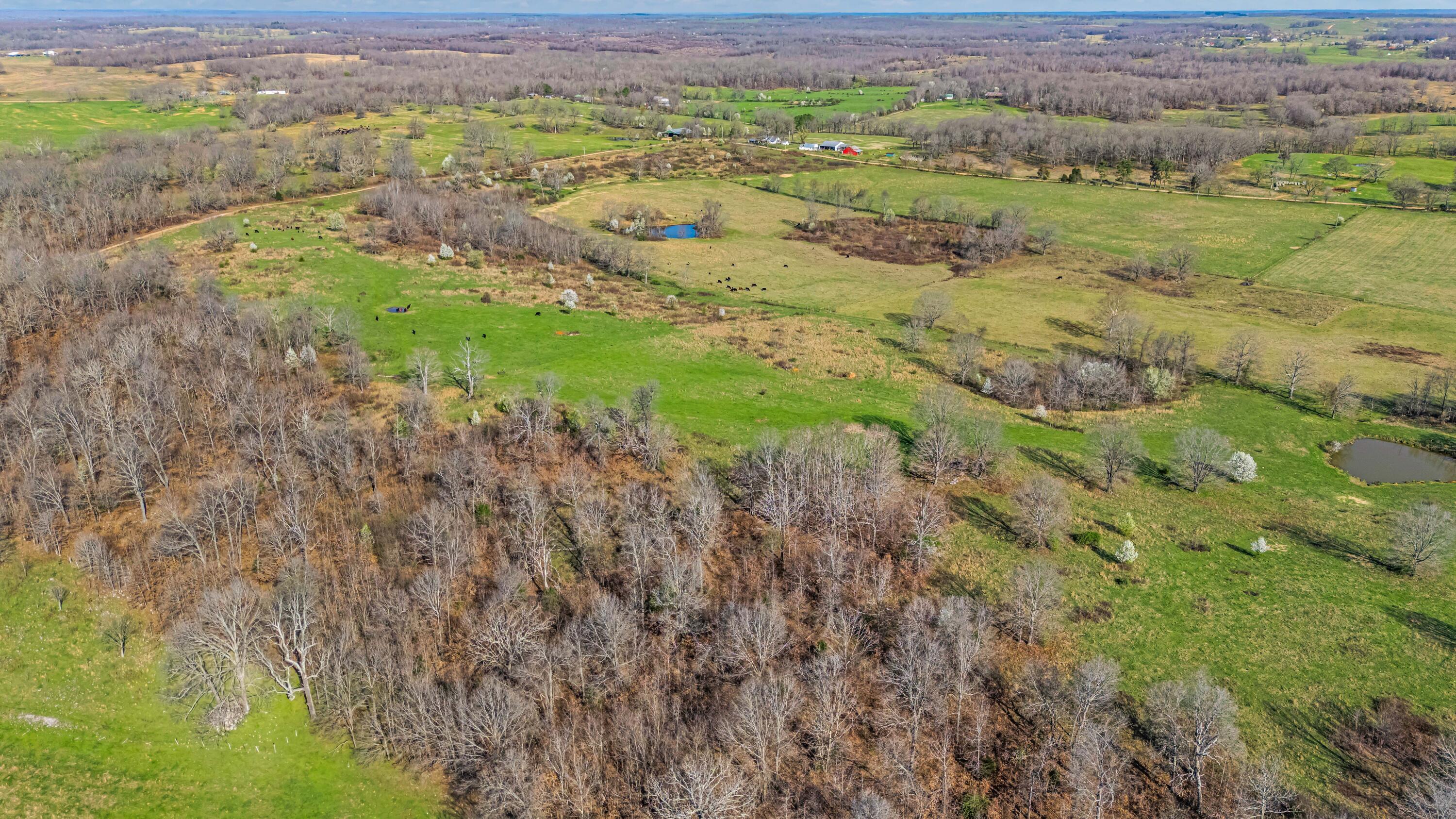 main property photo 90