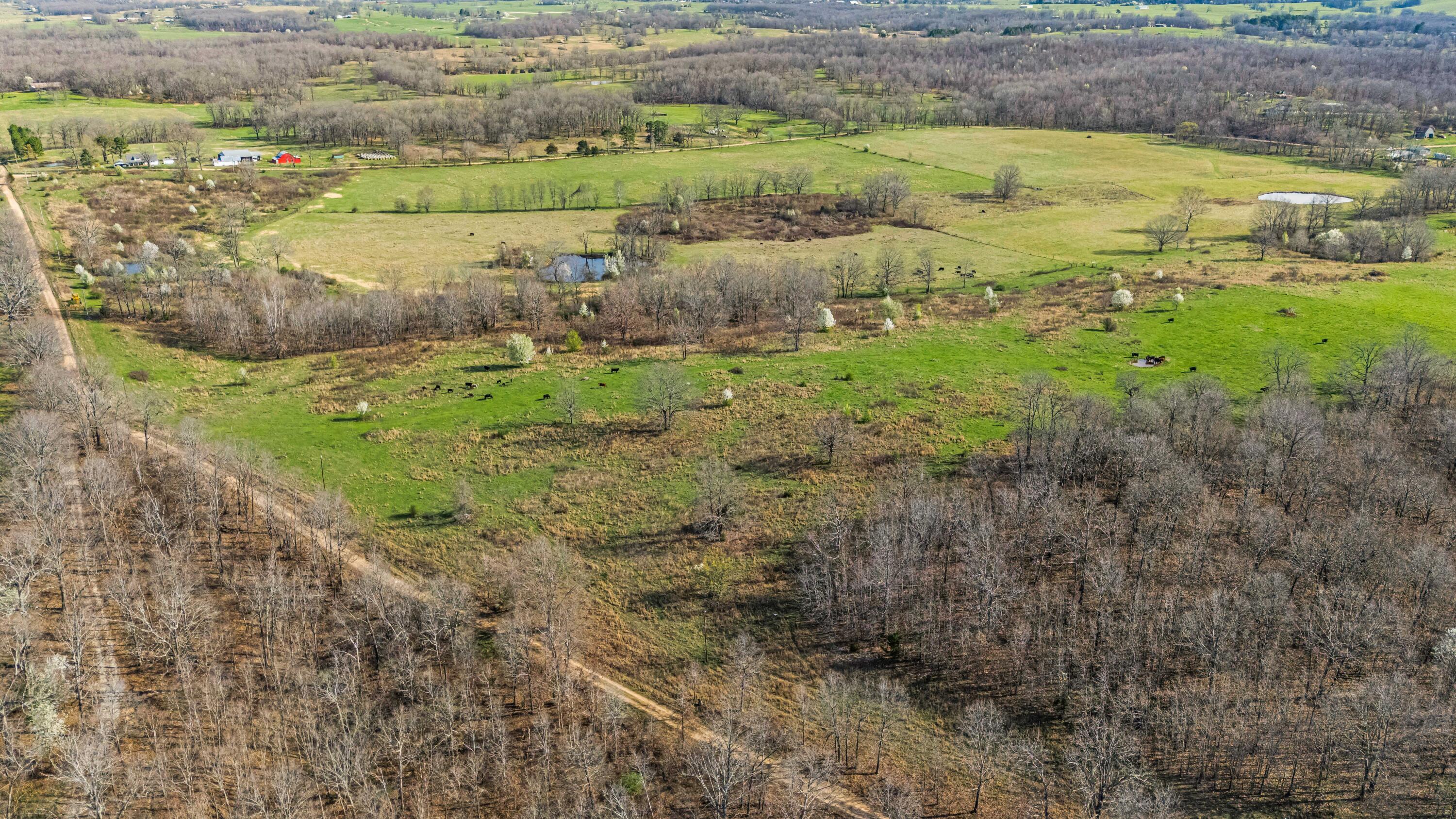 main property photo 102