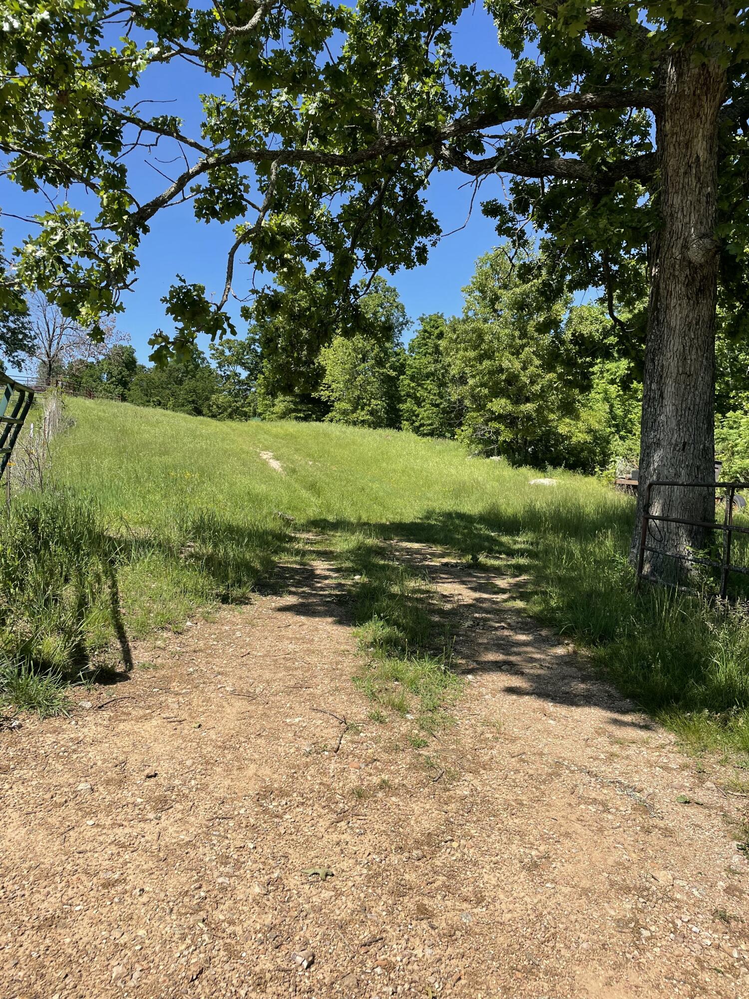 main property photo 50