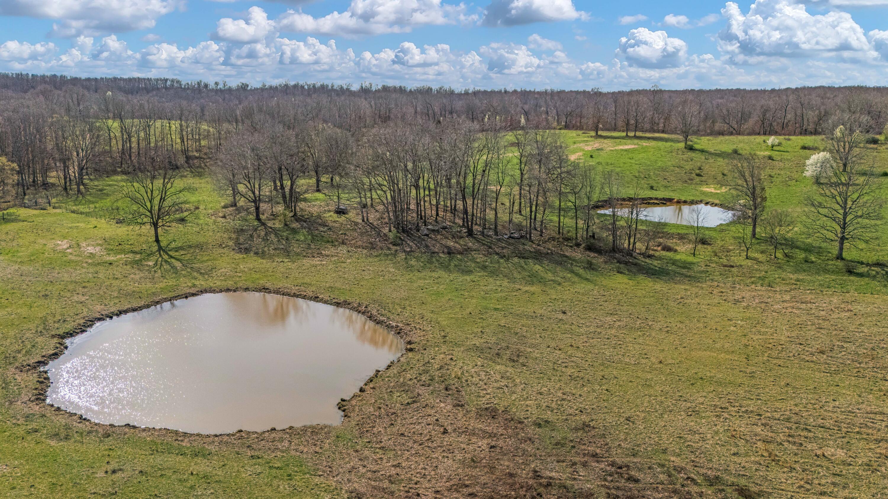 main property photo 79