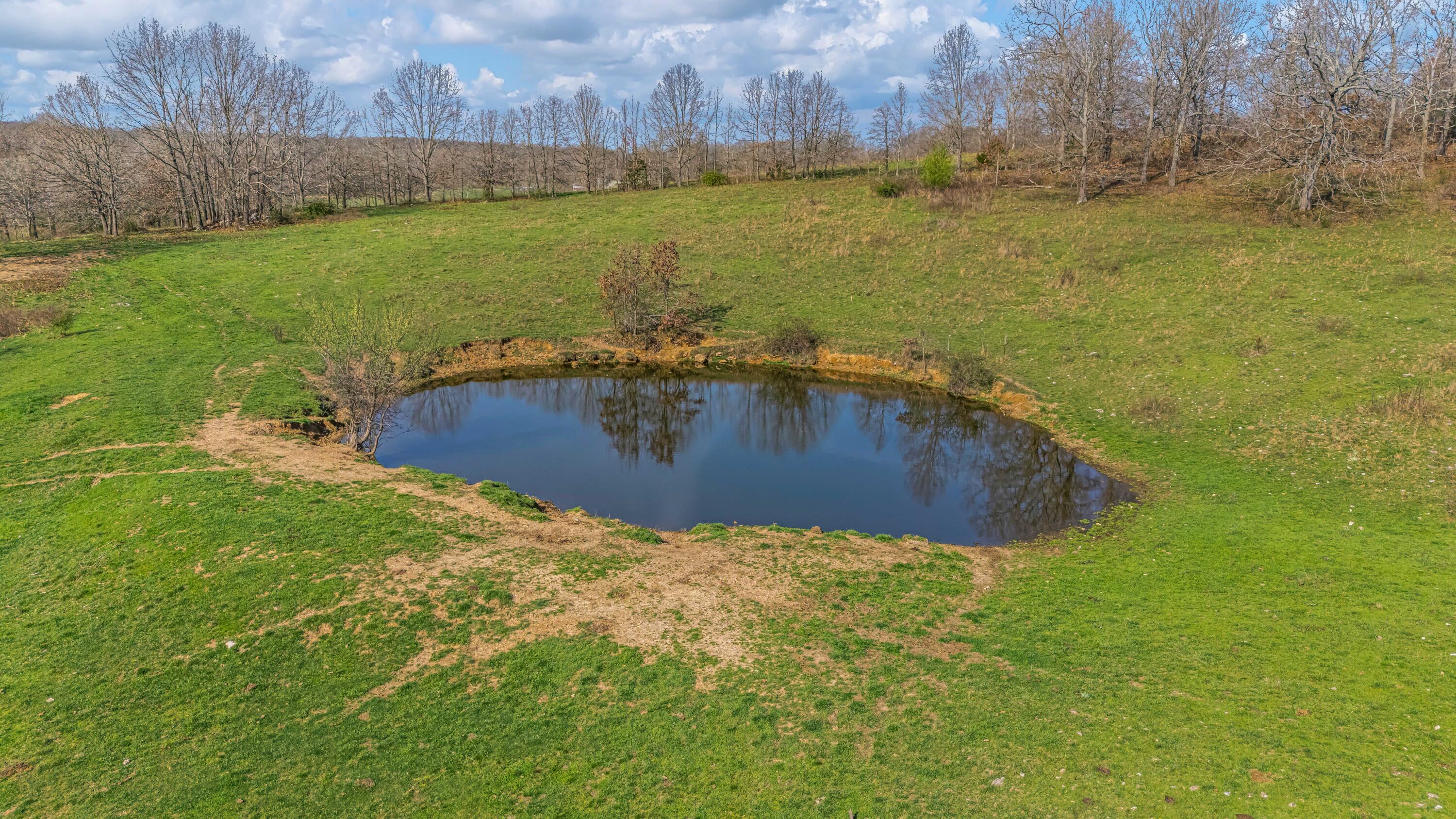 main property photo 89
